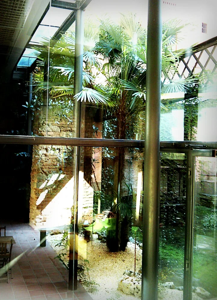 365 Day.114 Reflections on a Sunny Day.jpg
