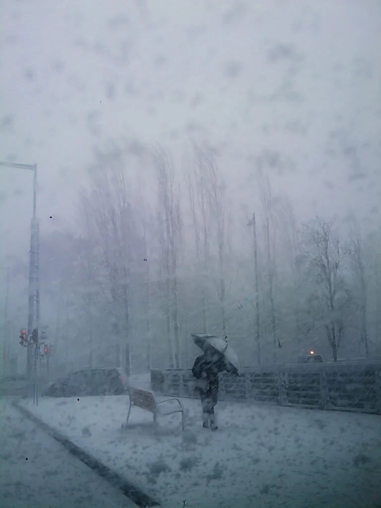365 Day.262 Snow.jpg