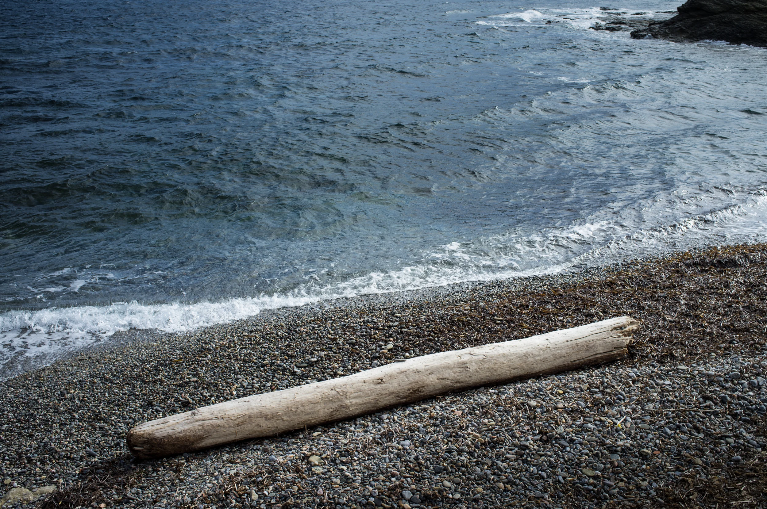 DSCF4889-Edit.jpg
