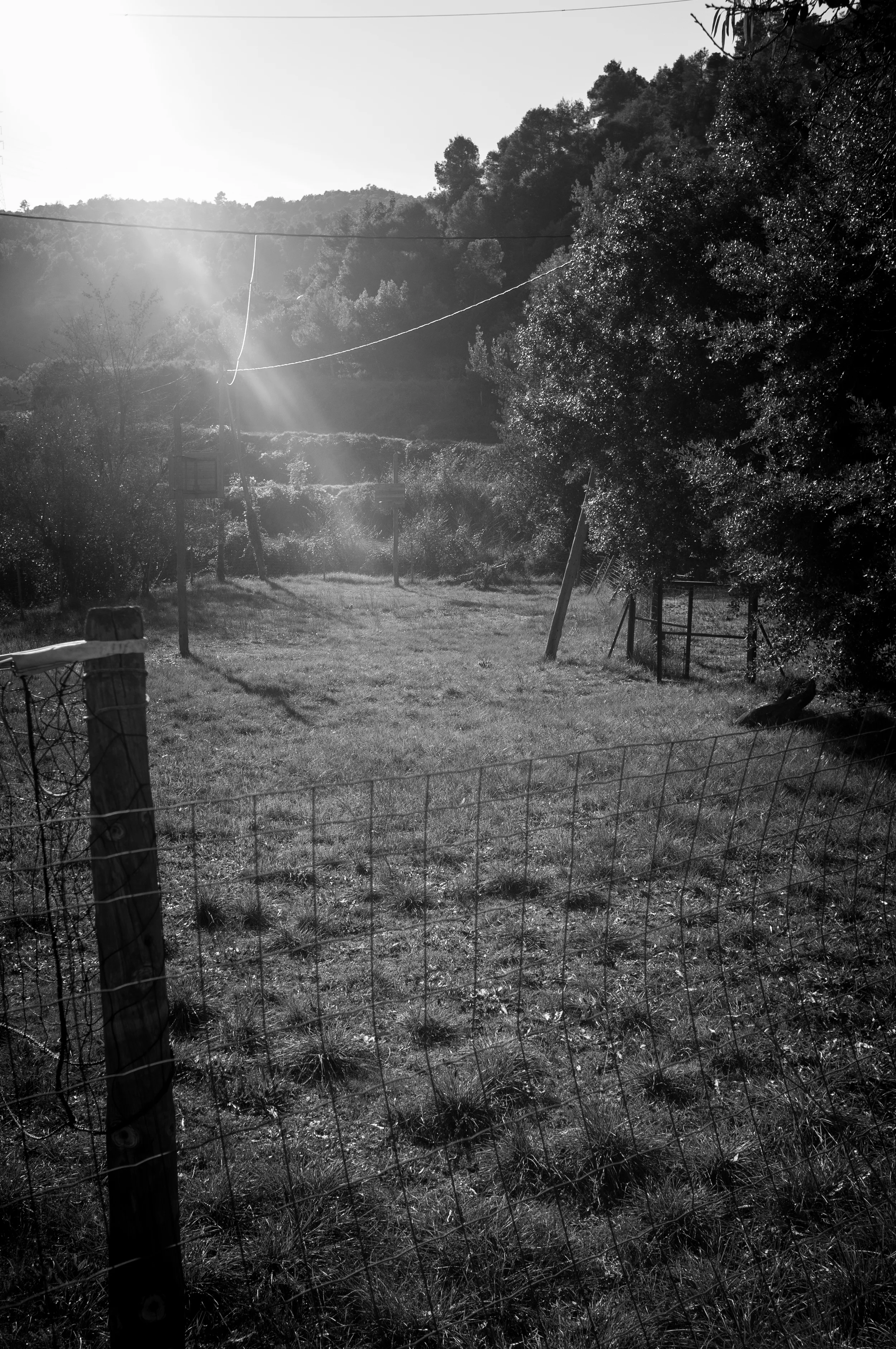DSCF5315-Edit.jpg