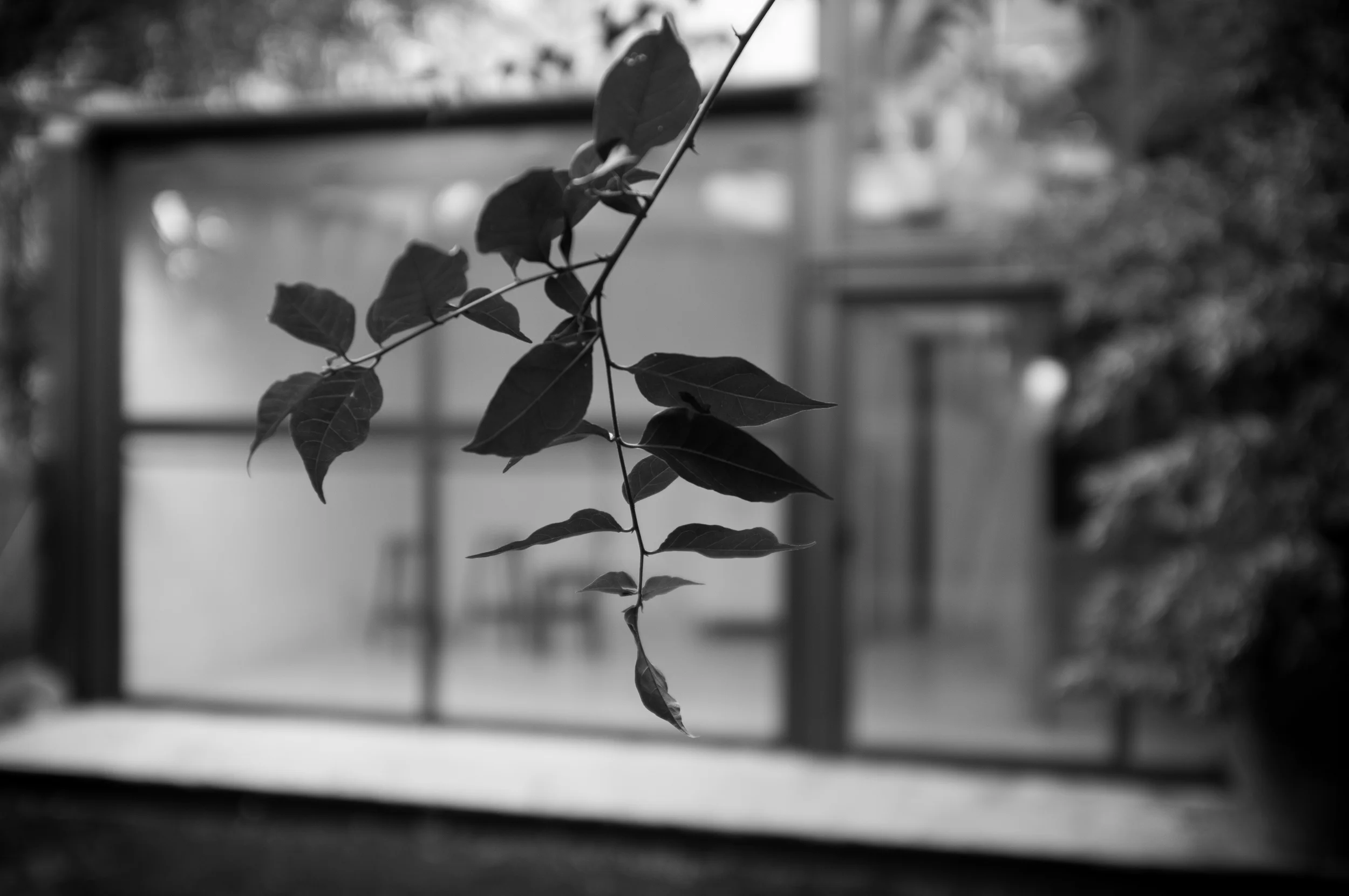 DSCF5526-Edit.jpg