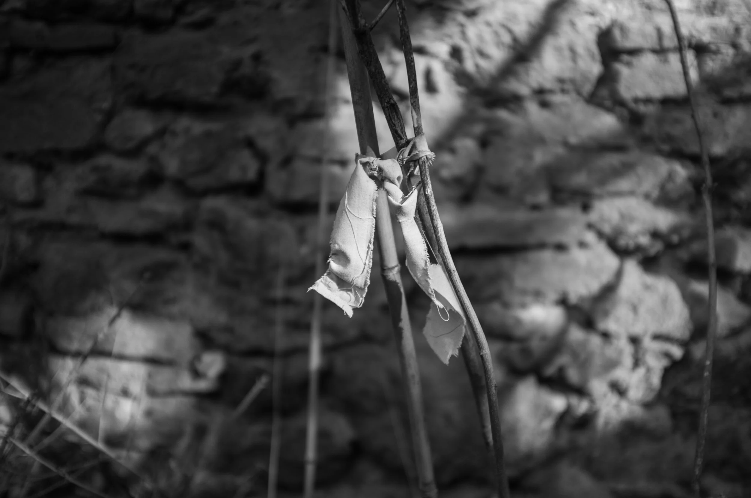DSCF5535-Edit.jpg