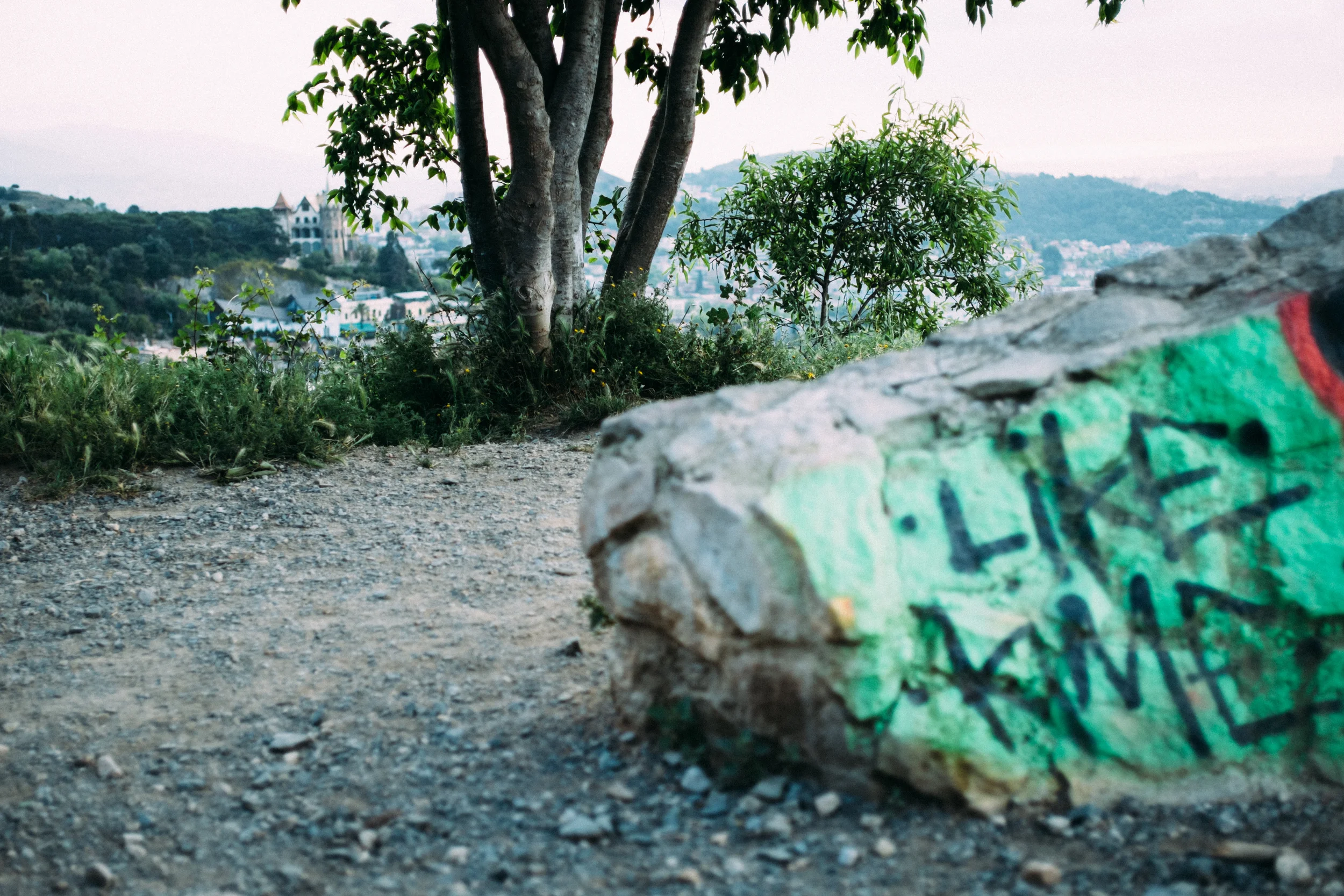 _DSF8431-Edit.jpg