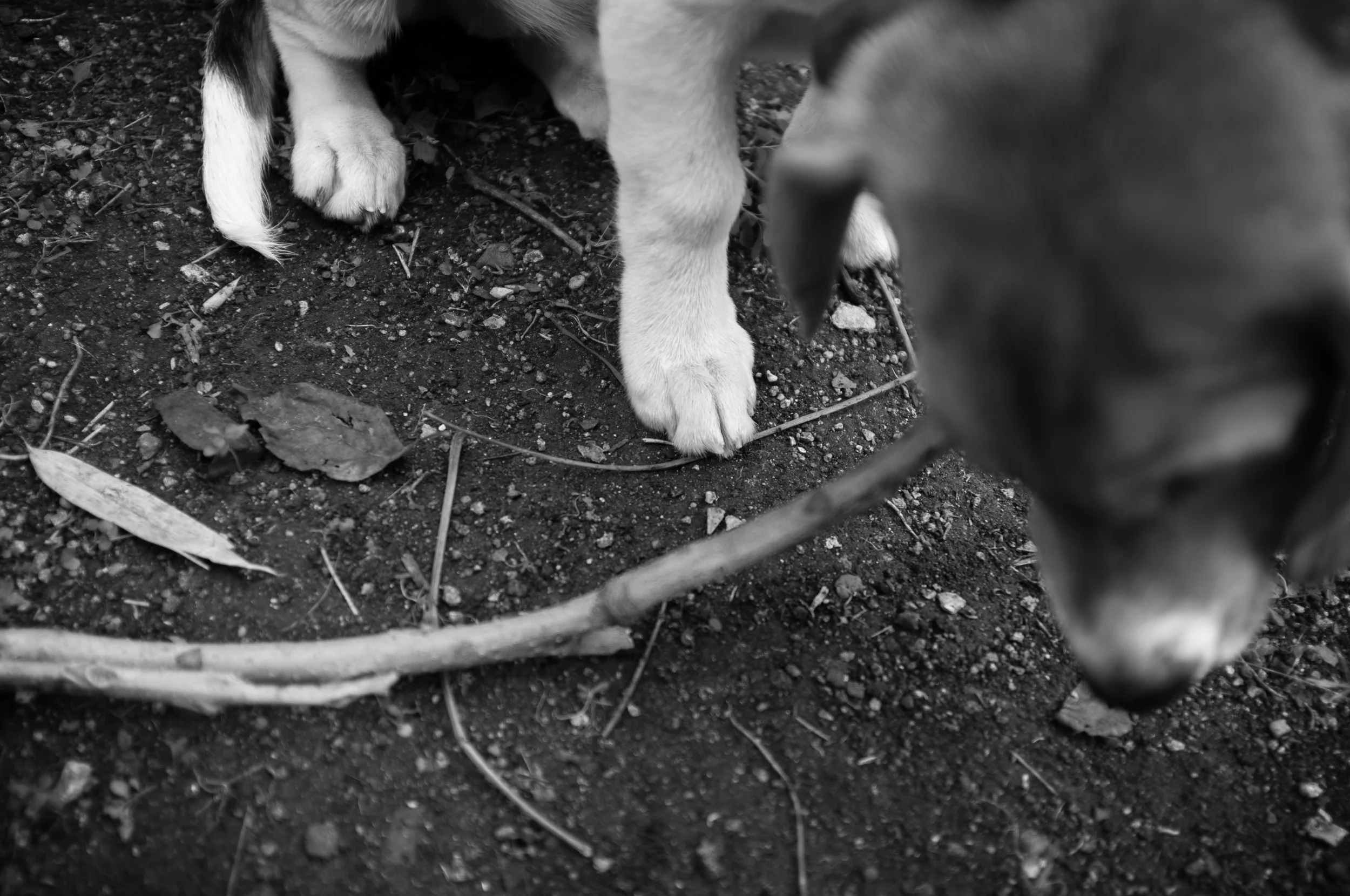 DSCF5464-Edit.jpg