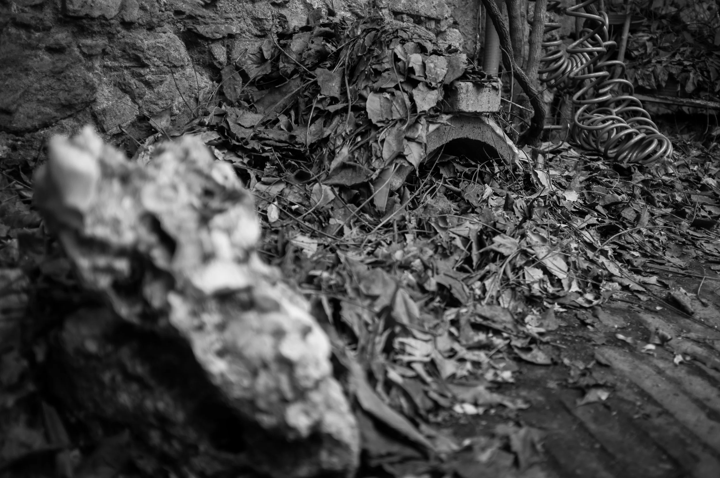 DSCF5458-Edit.jpg