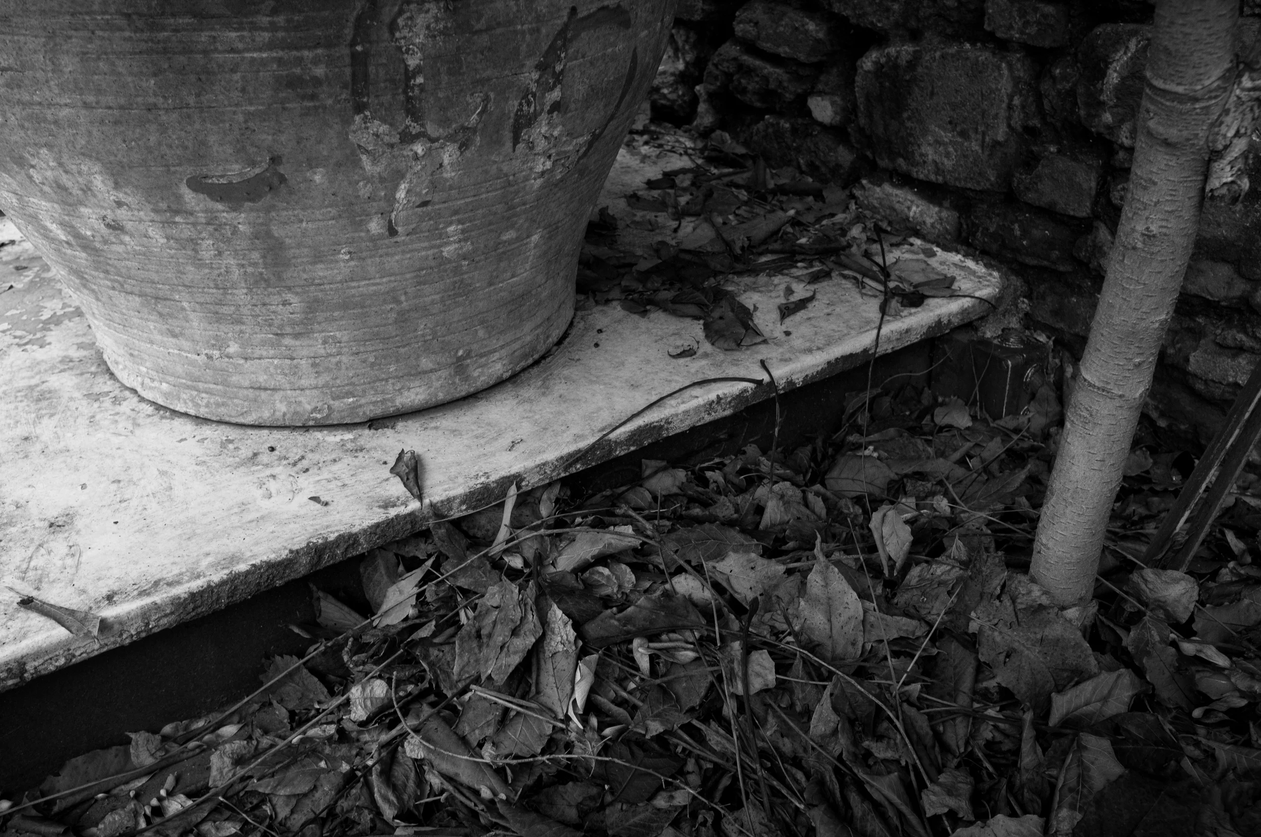 DSCF5489-Edit.jpg