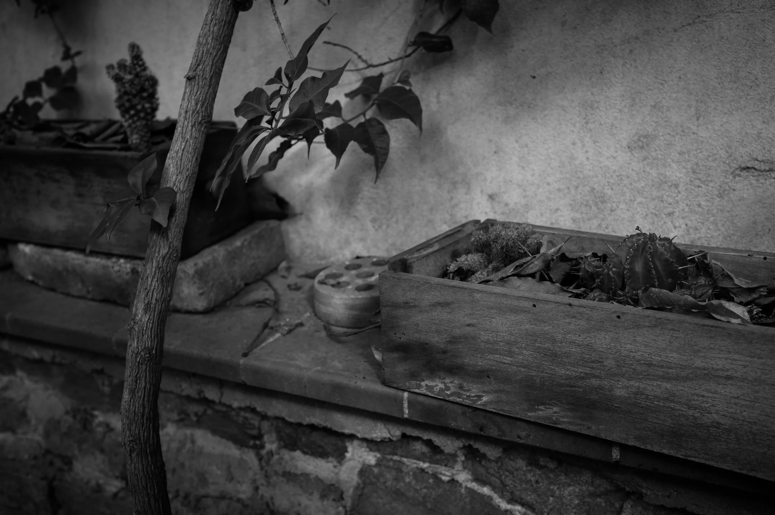 DSCF5513-Edit.jpg