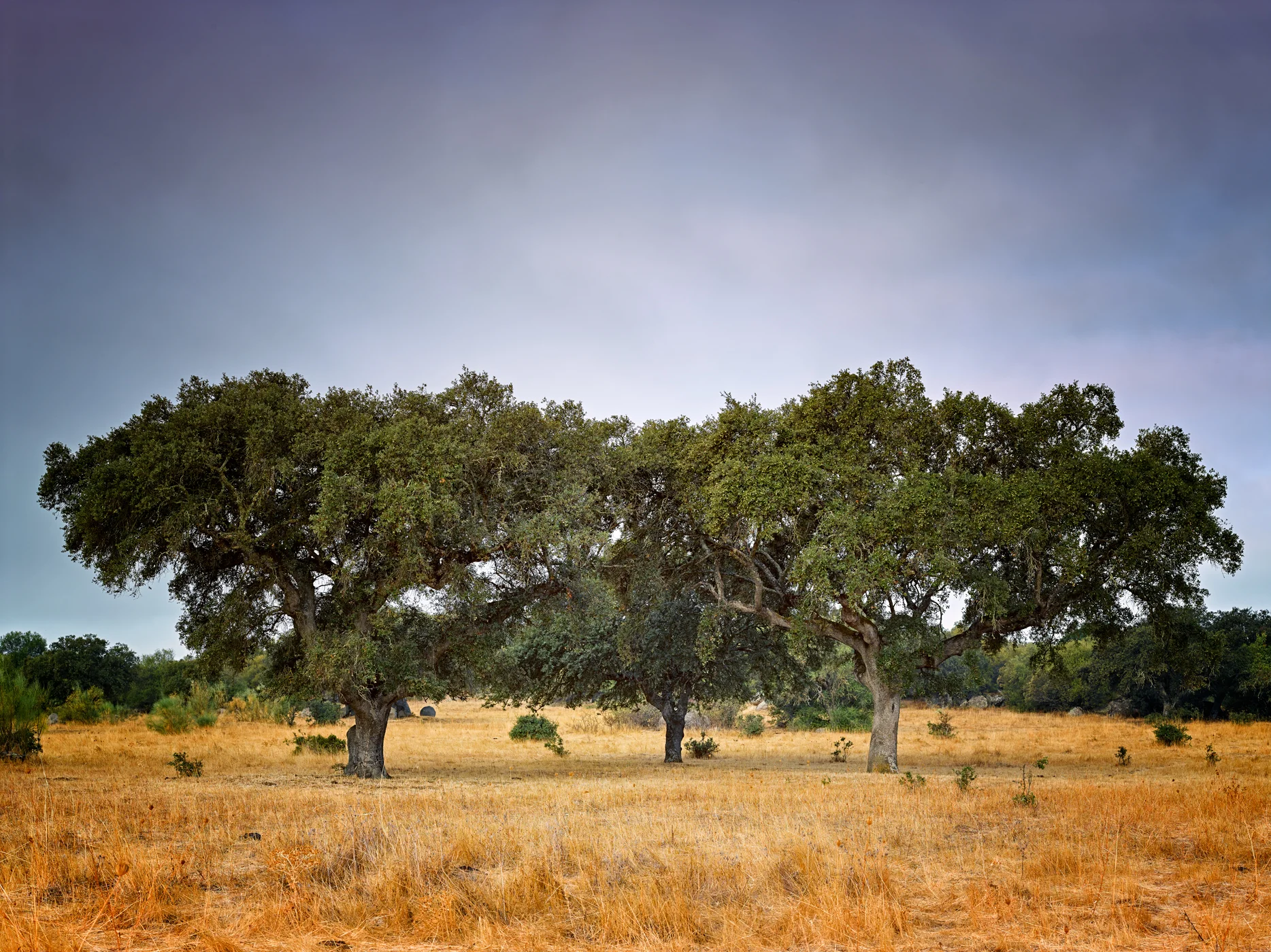 1162-Alentejo-21092017-CF024082.jpg