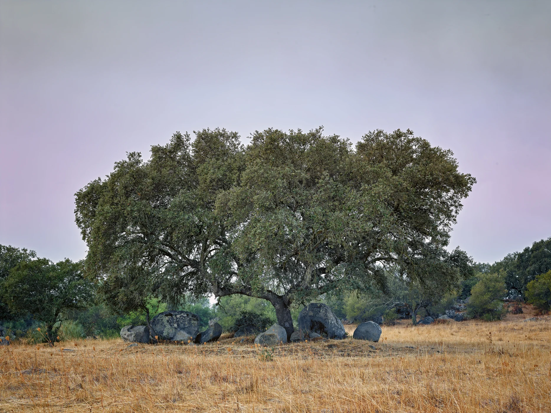 1162-Alentejo-21092017-CF024089.jpg