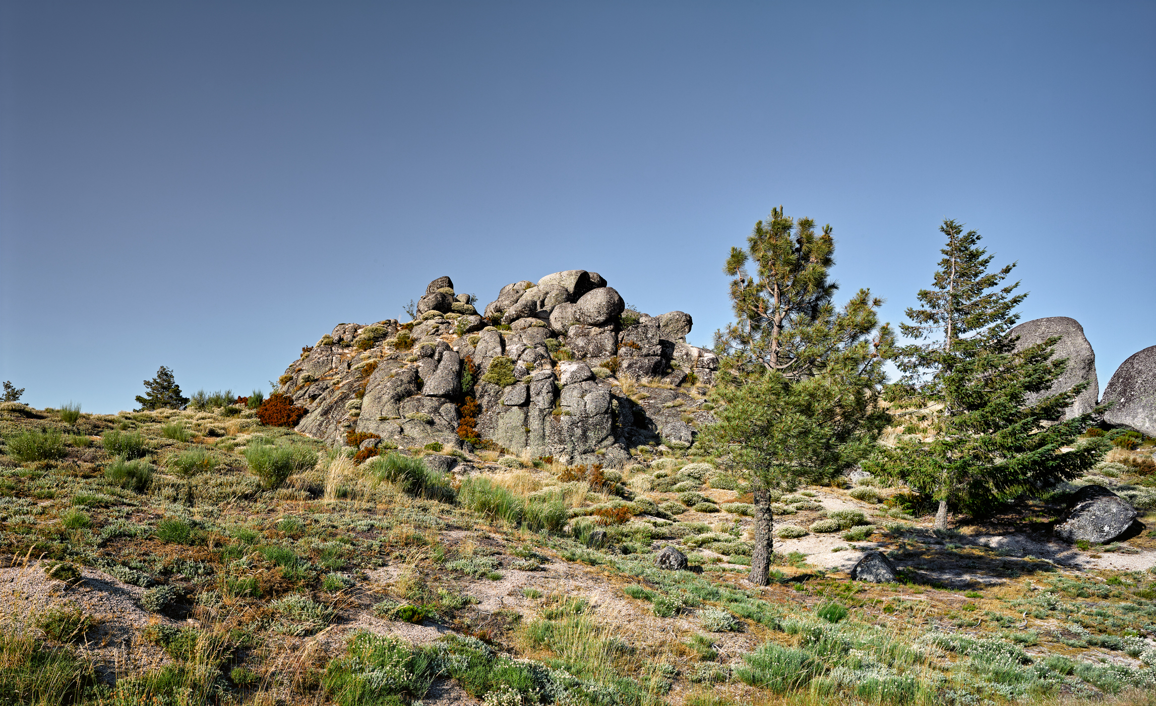 1181-Serra-de-Estrela-18072019-CF035353.jpg