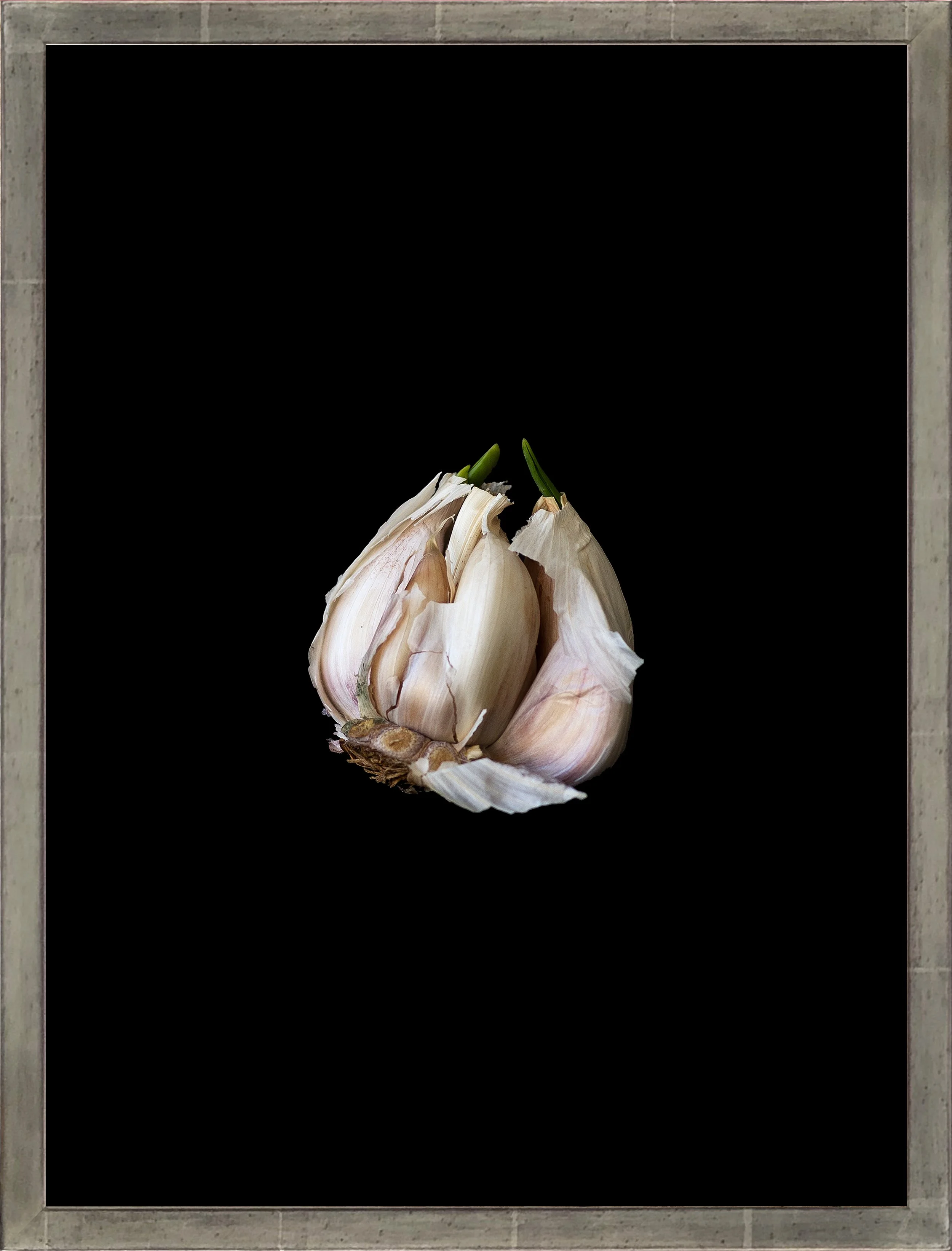 ROSA ARACI HENRIQUES