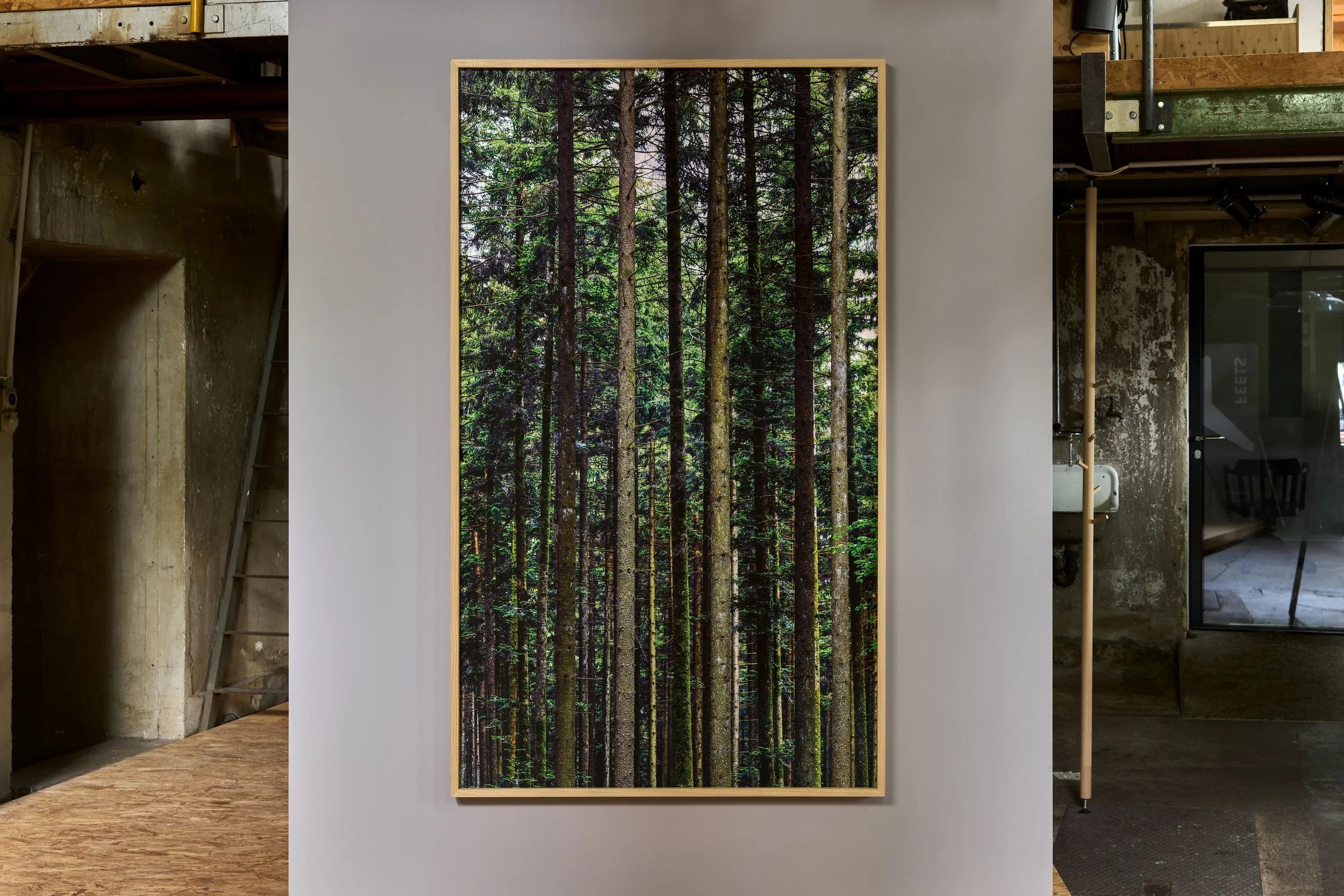 2106-ANALOG-Galerie-L1000315-L1000315-00.02.jpg