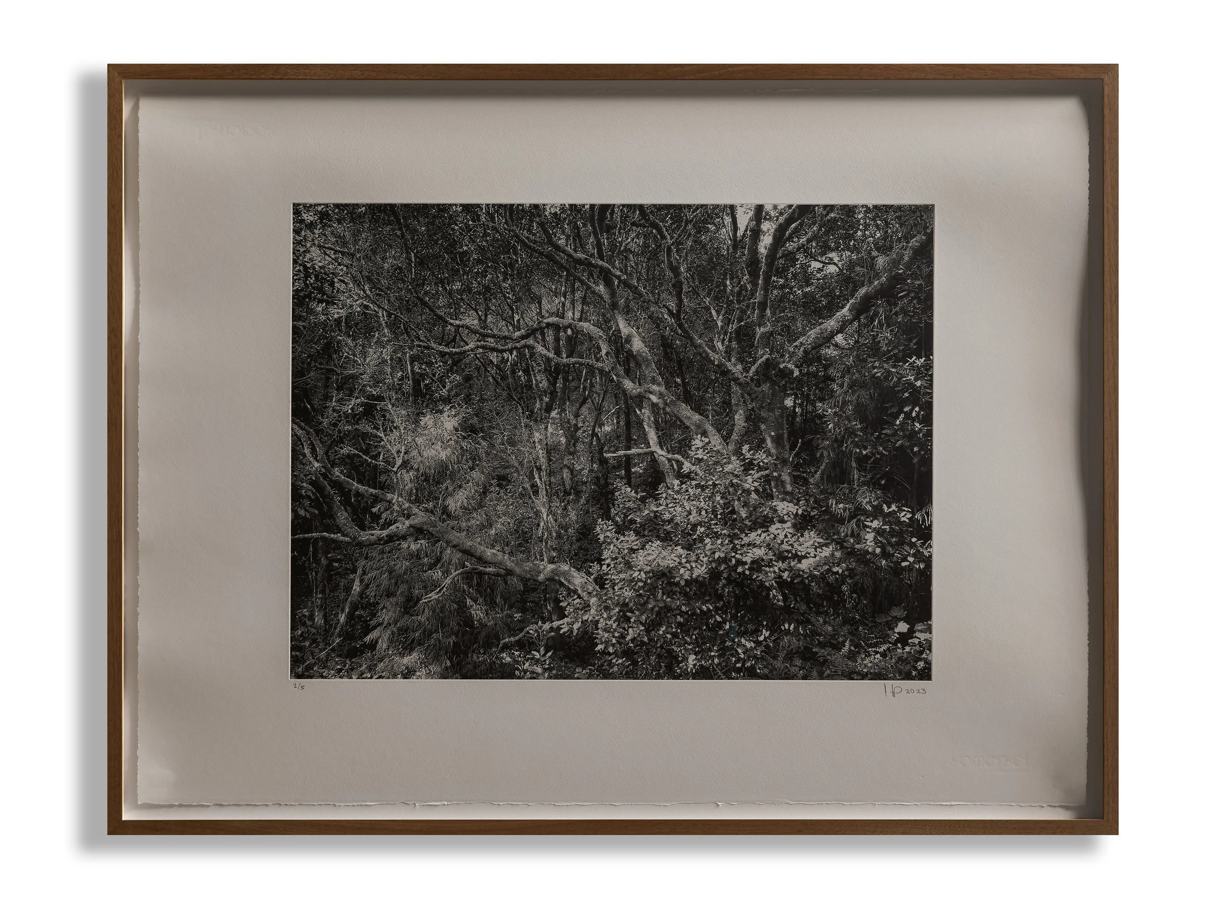 2106-ANALOG-Galerie-L1000316-L1000318-00.01.jpg
