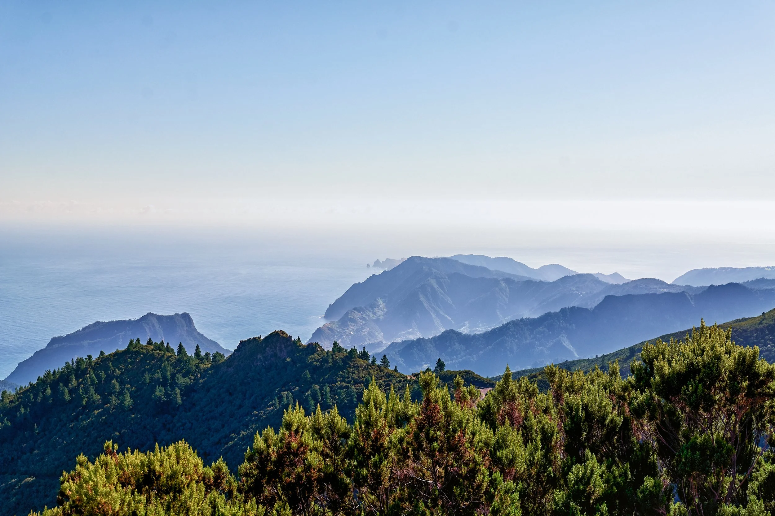 1186-Madeira-17102019-RAH-L1260377.jpg