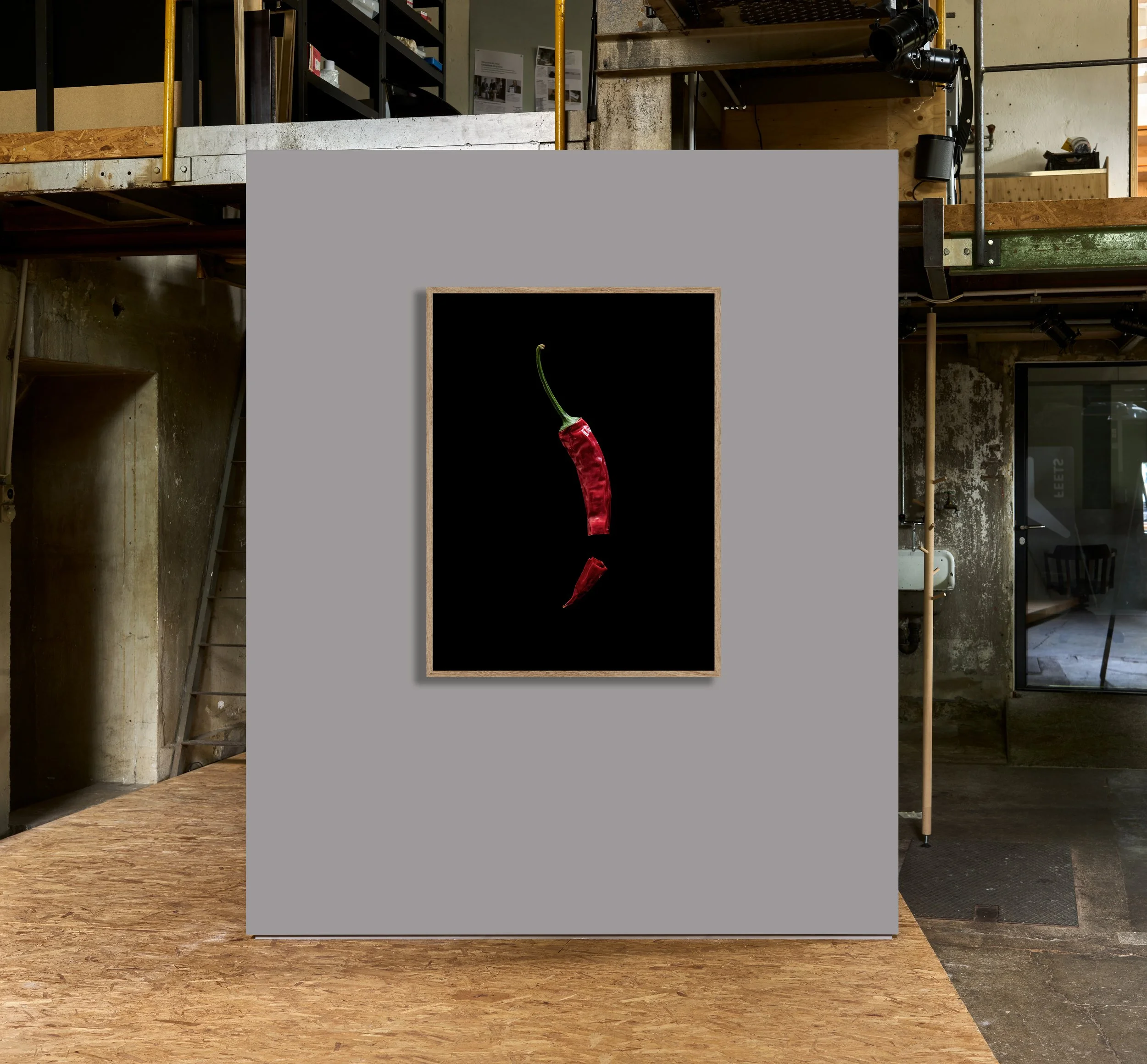 2106-ANALOG-Galerie-L1000315-L1000315-01.00.jpg