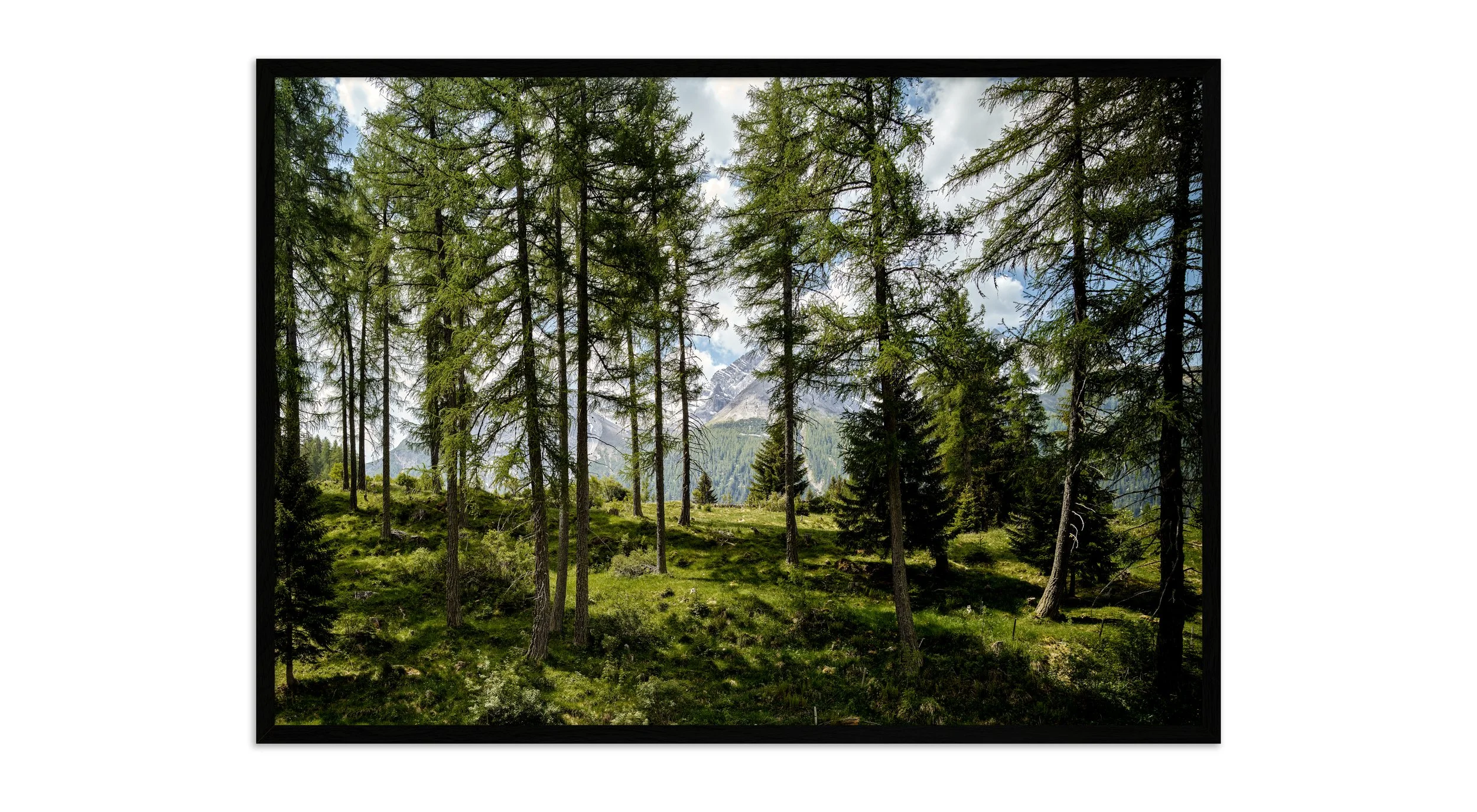 2112-BERGÜN-RAHMEN-35287+35292-02.00.jpg