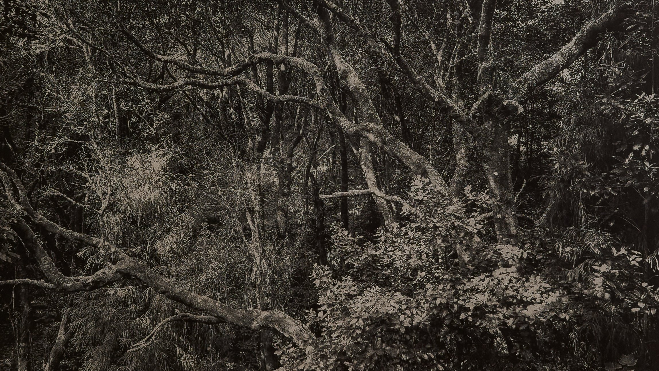2106-ANALOG-Galerie-L1000316-L1000318-00.04.jpg