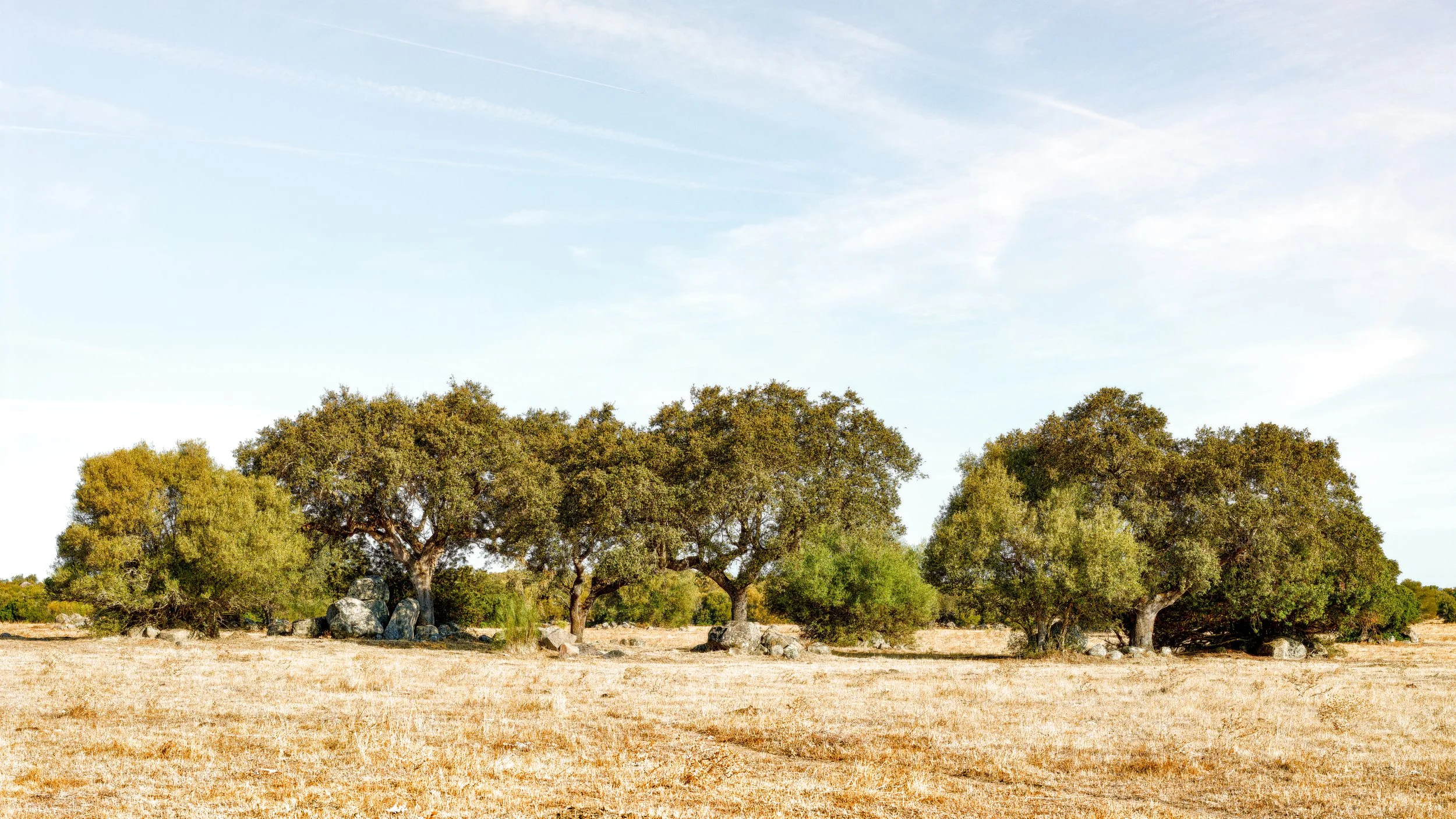 1162-Alentejo-21092017-CF024286-01.jpg
