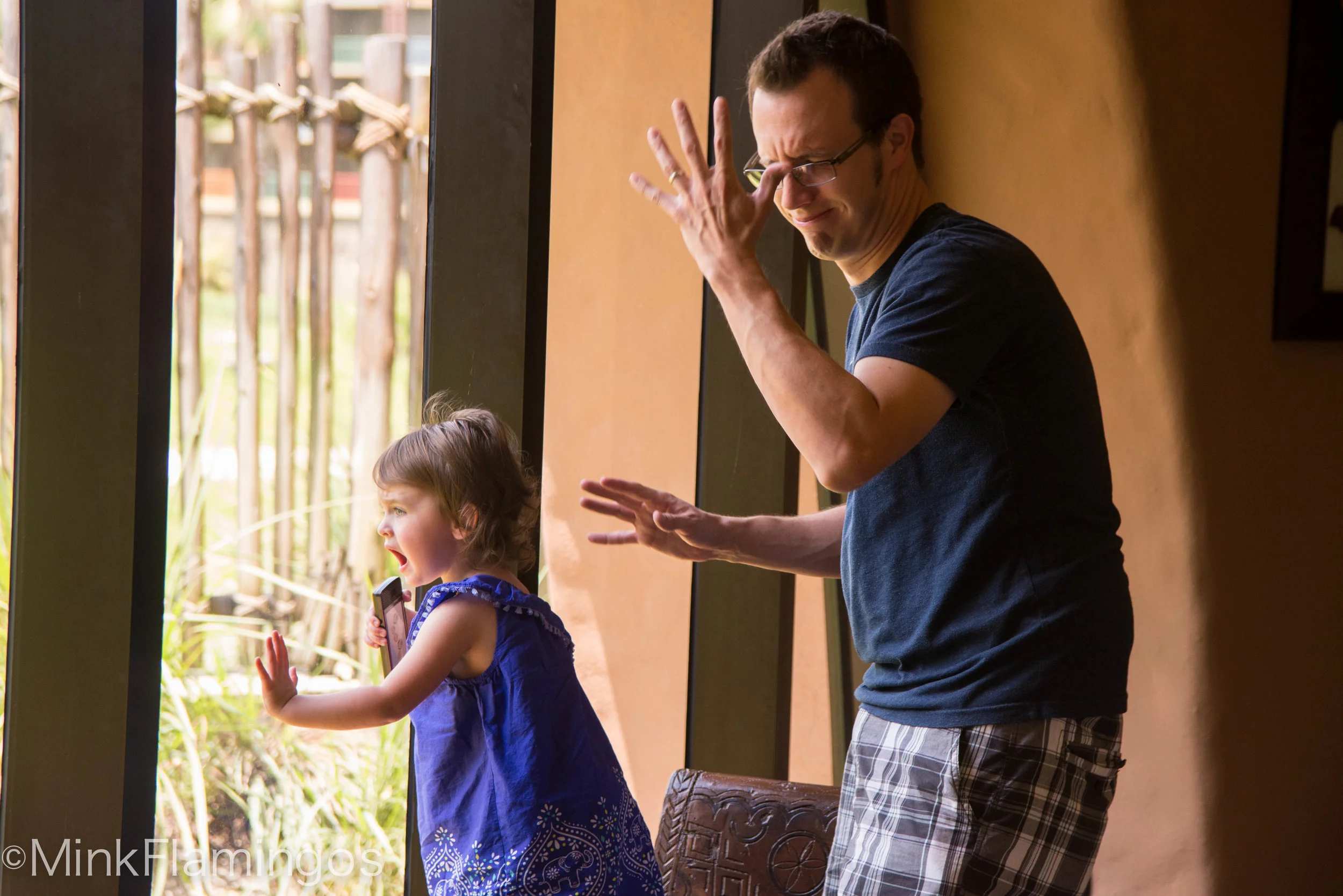 OY kid, STOP SCREAMING AT THE TORTOISE