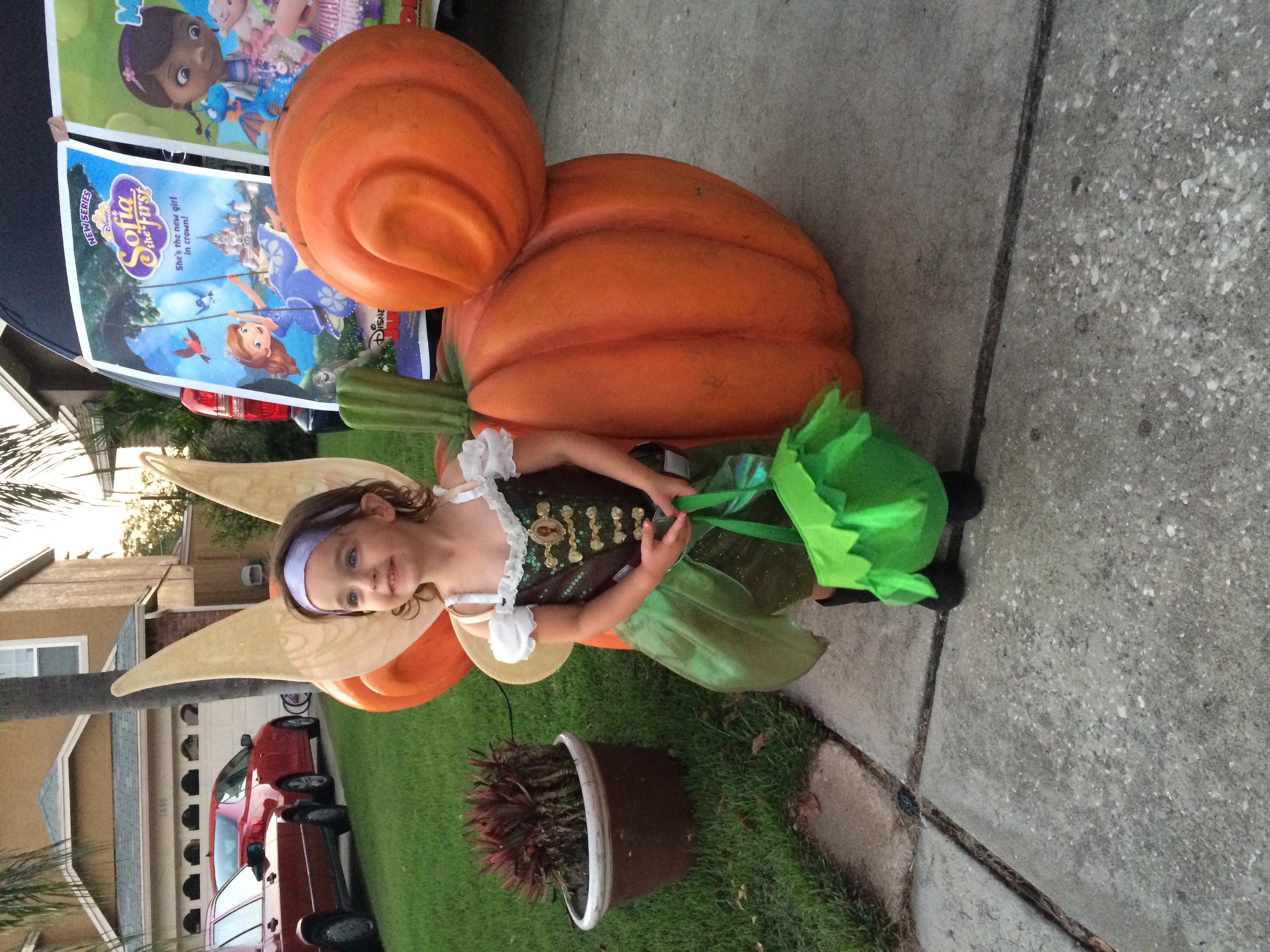 Uhhhh did this family steal this Mickey pumpkin from WDW??