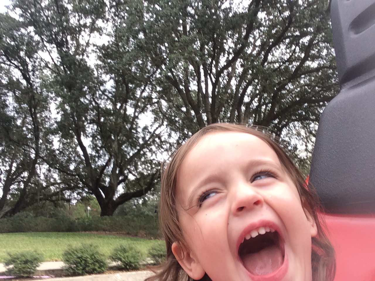 This photo makes me laugh every time I see it. She loves those "racecars." 