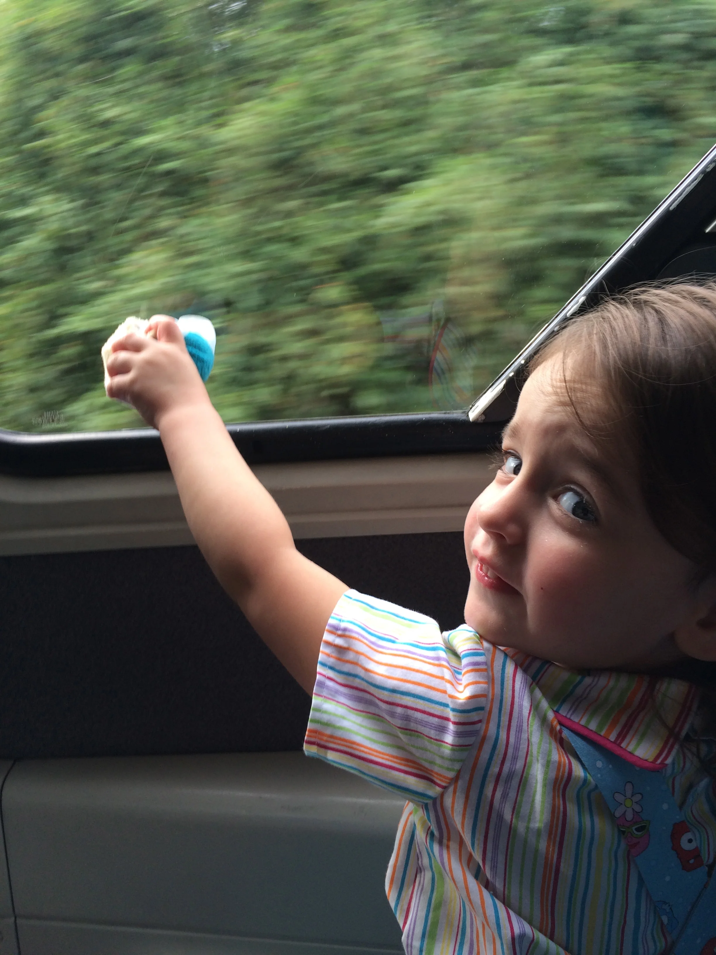 Showing Elsa Tsum the view from the monorail