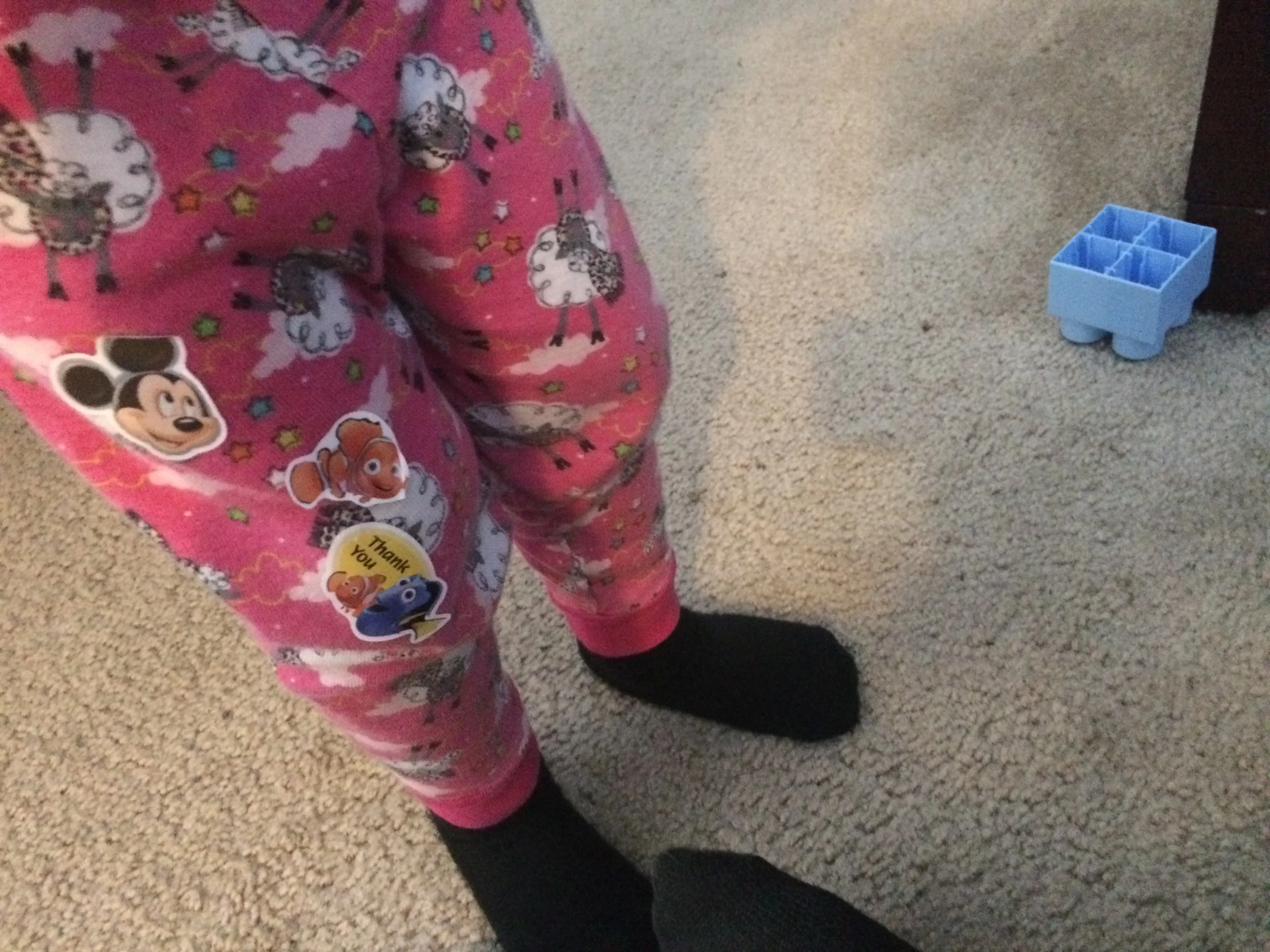 D's successful potty trophies