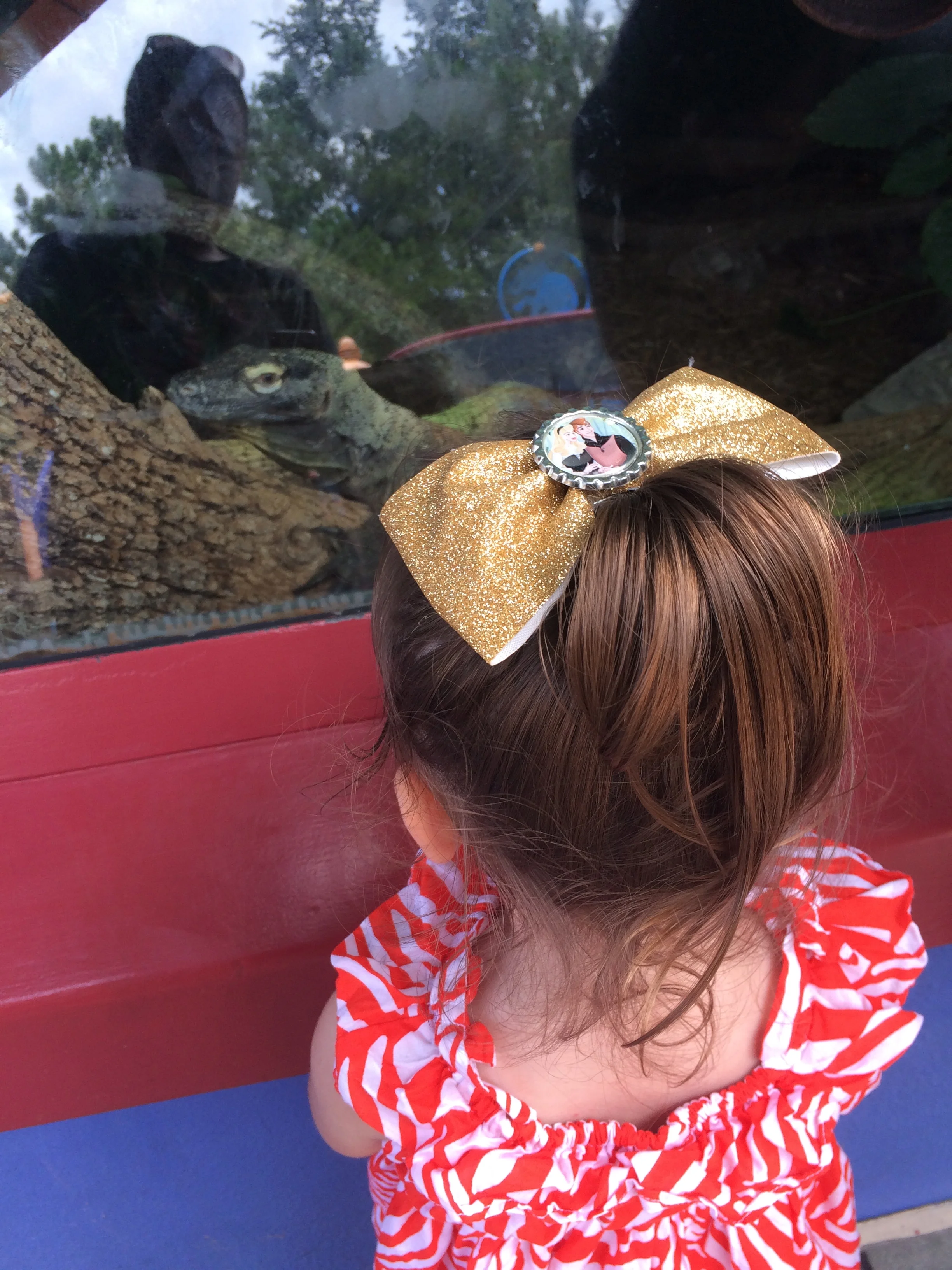 D stares down a Komodo Dragon