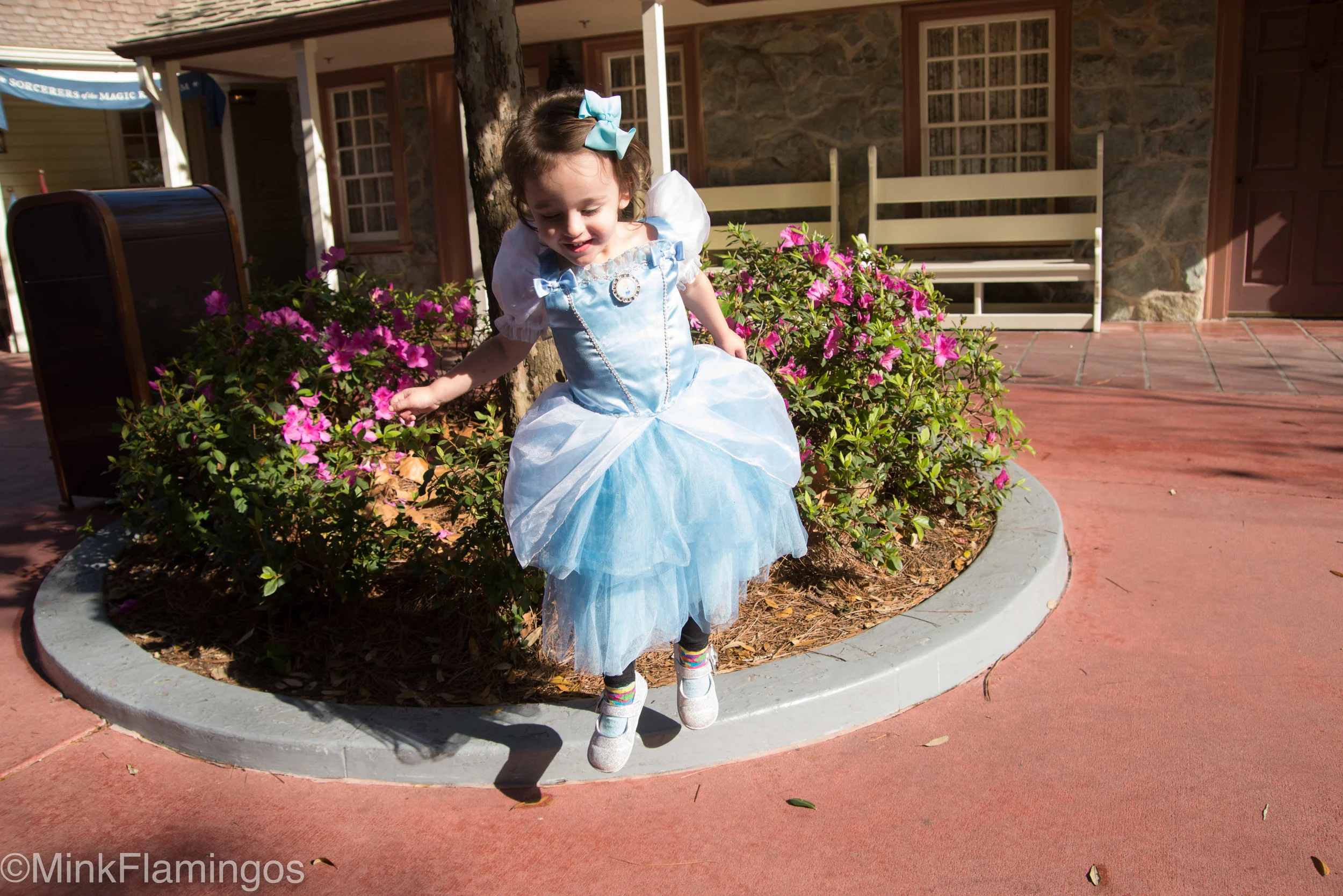 Fast shutter speed: 1/2000, no portions of moving subject are blurry