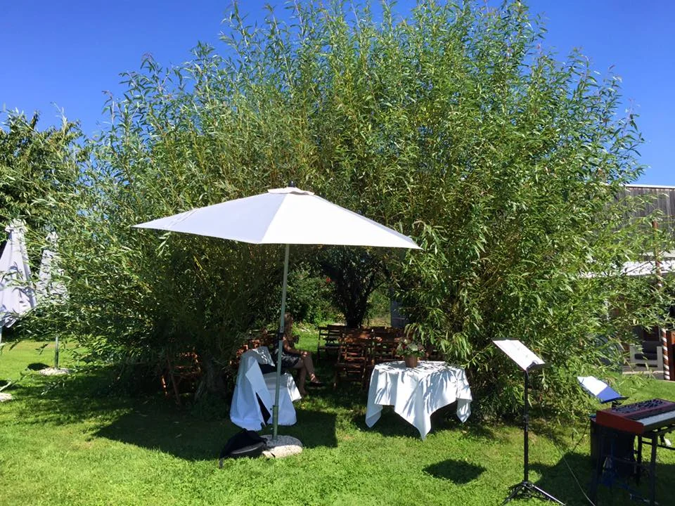Ein wunderschöner Ort für eine freie Trauung im Kanton Zürich ist die Moschti Stäfa . Unter dem Weiden-Pavillon findet gut 50 Leute Platz!
