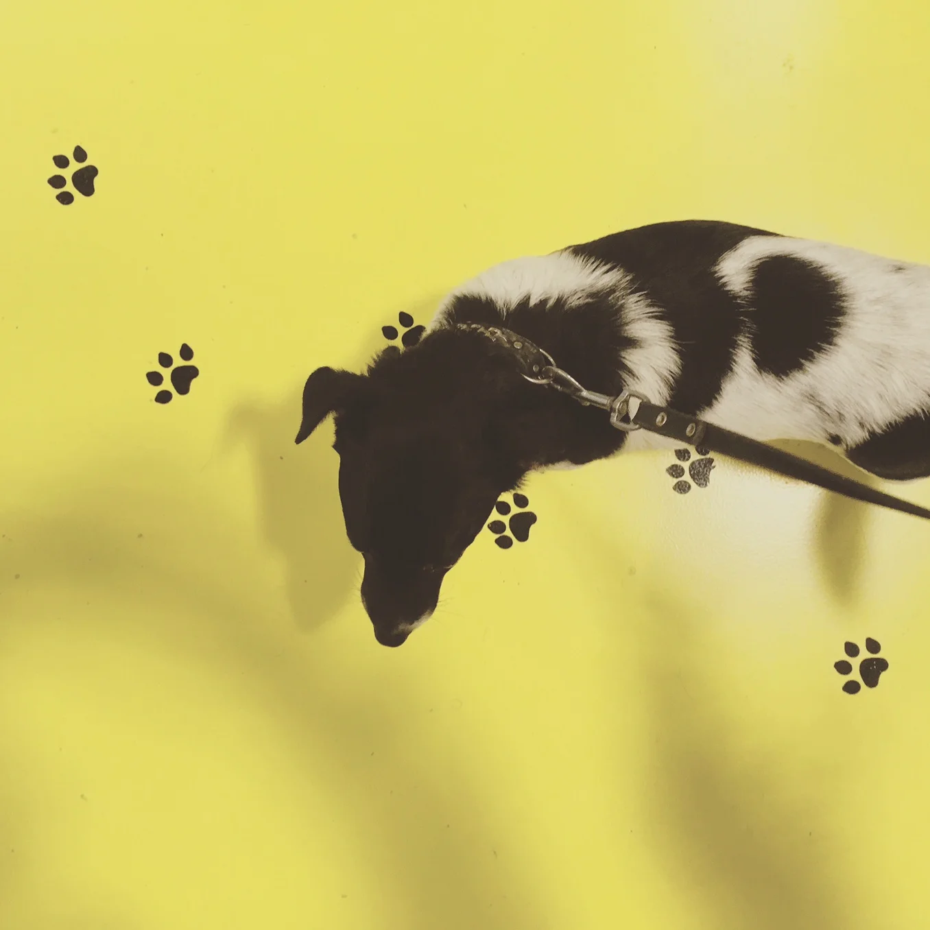 Recensie eindexpositie eindejaars Grafisch Lyceum Rotterdam