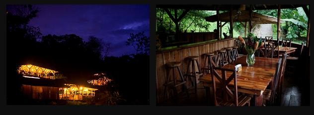 Lifestyle Design: Treetop Living