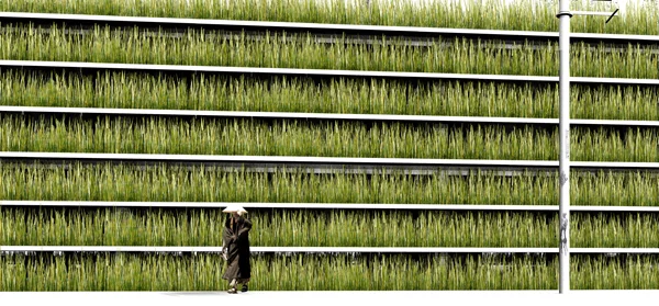 Shinjuku Green Parking Design