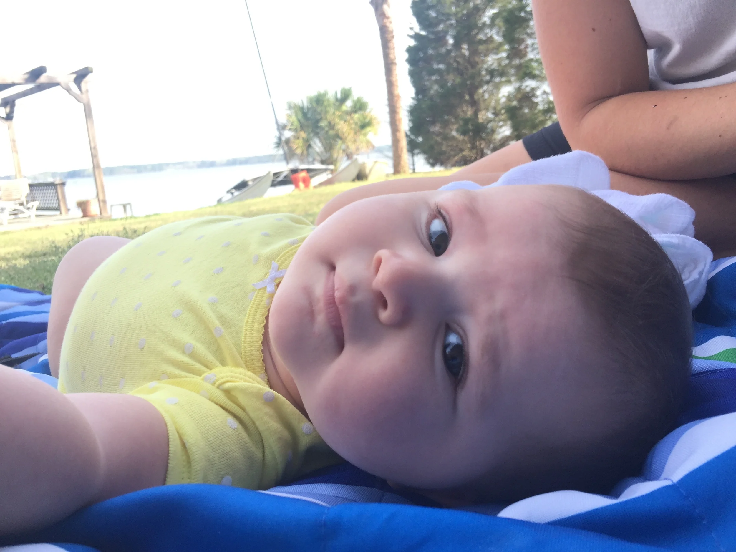 Lying in the shade
