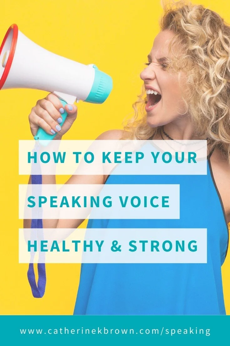 Pinterest Blogpost Teaching Voice.jpg