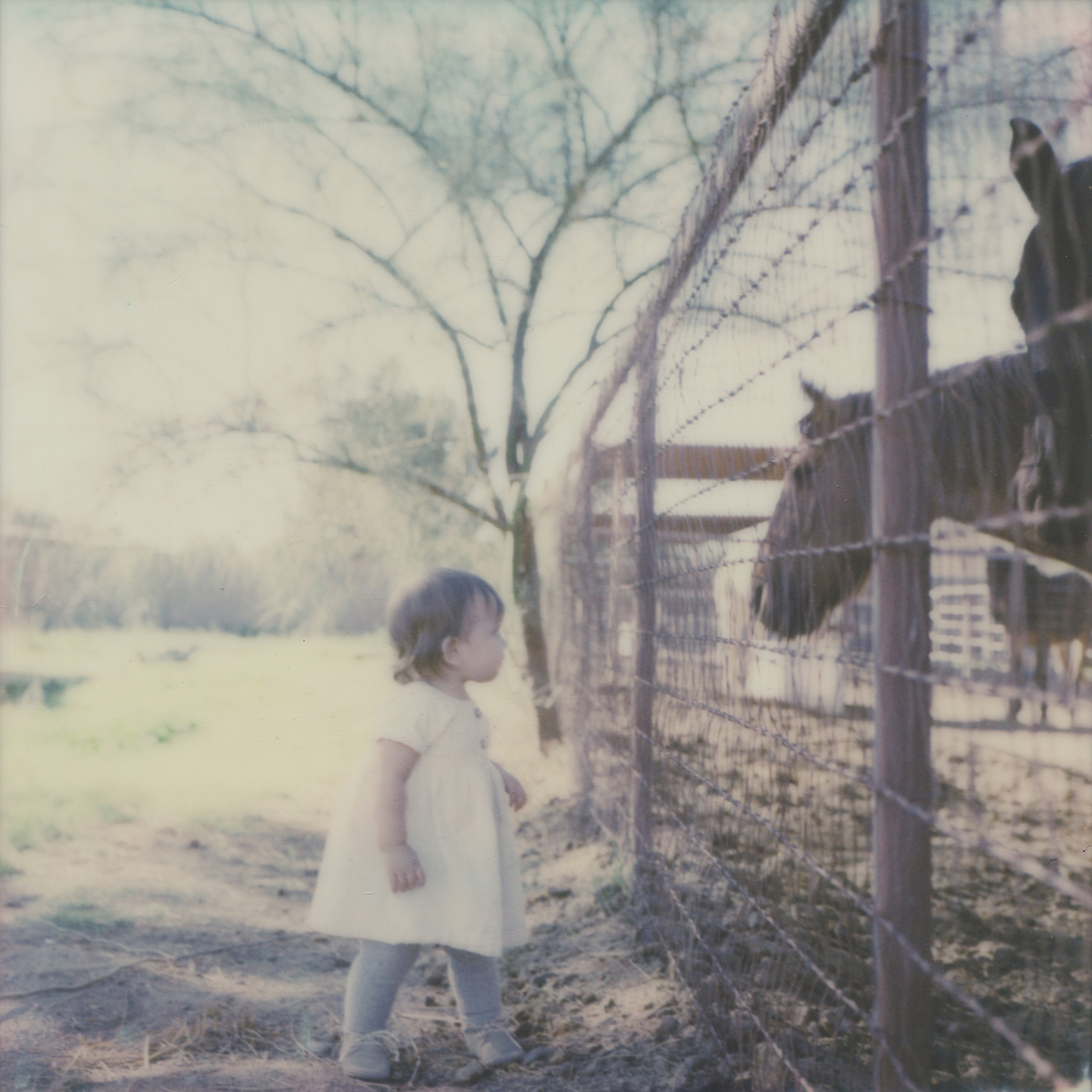 Eleanor Greets The Neighbors