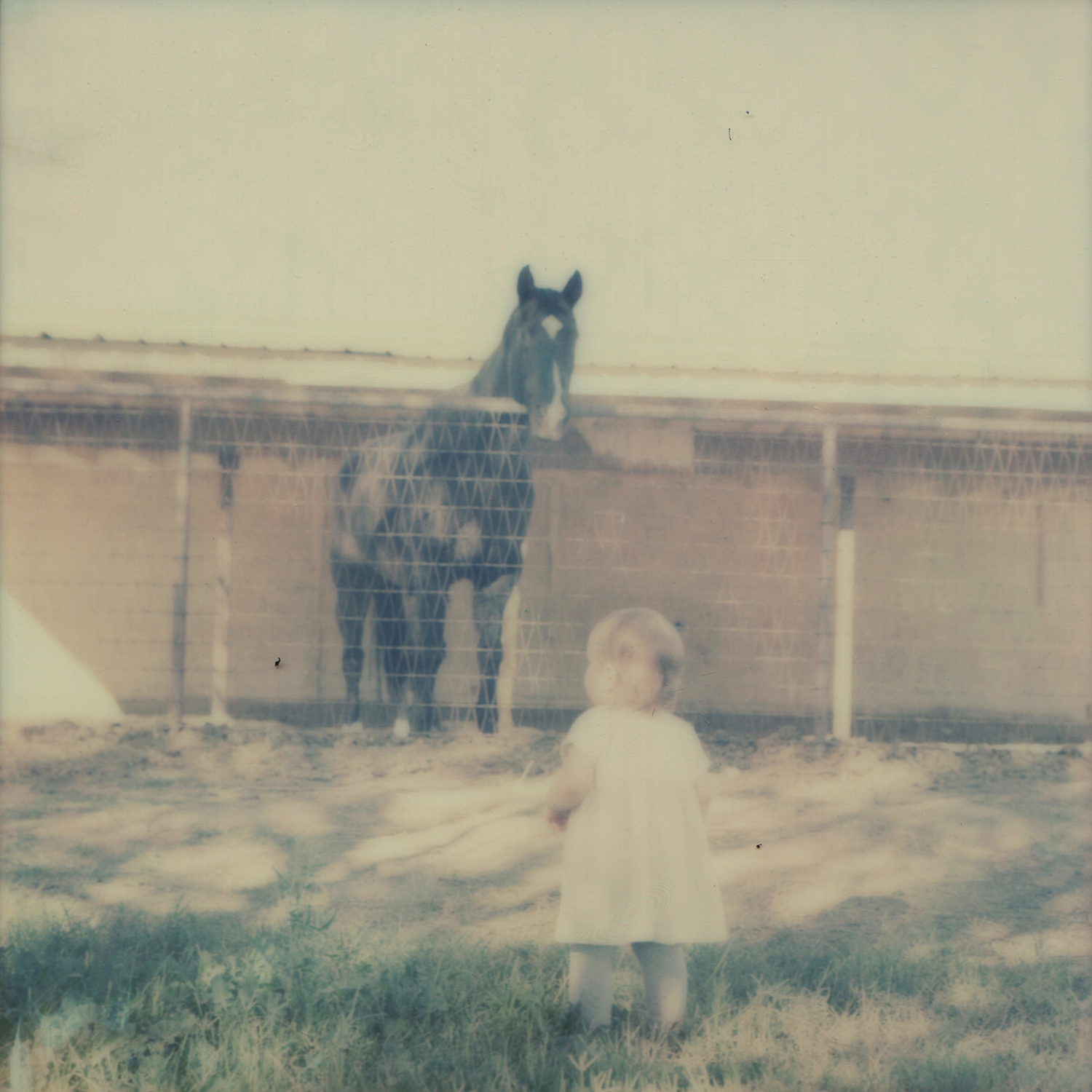 Eleanor In Perspective