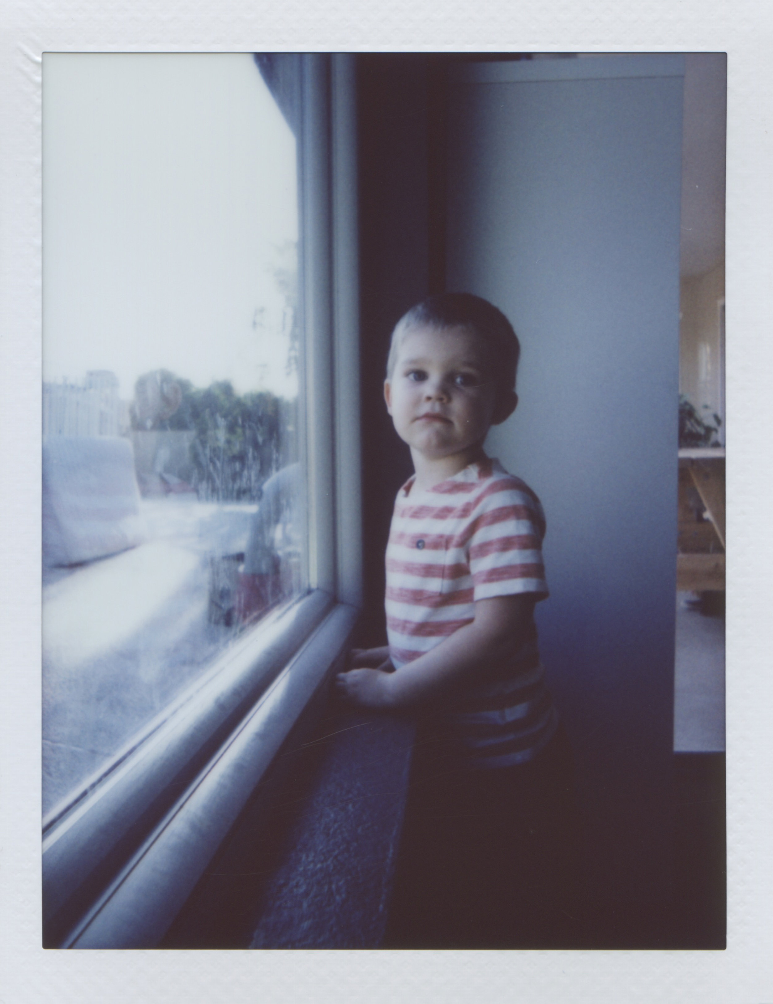 Rowan At The Window