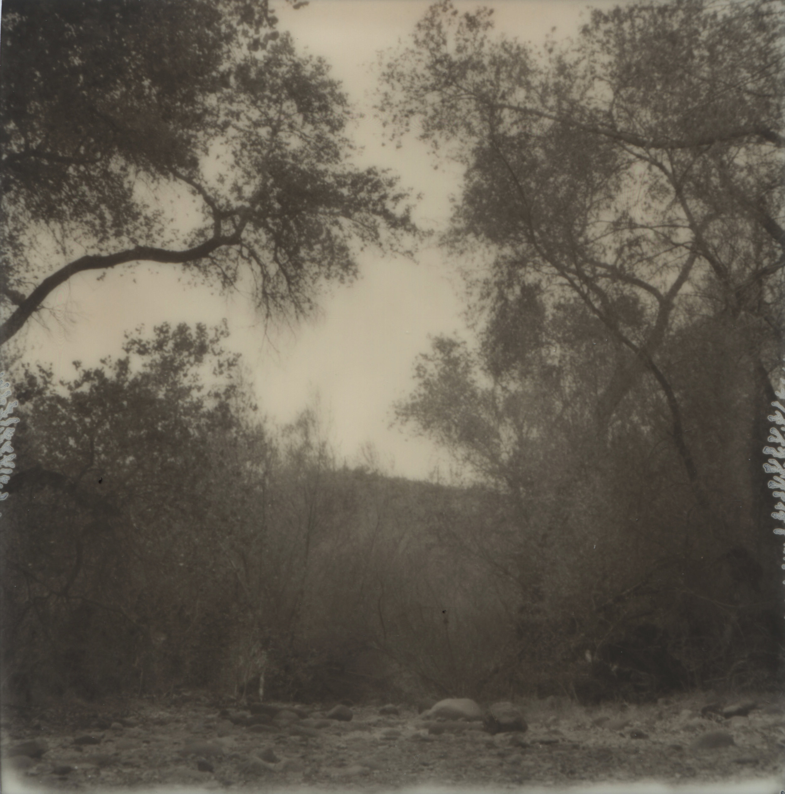 The River Runs Dry