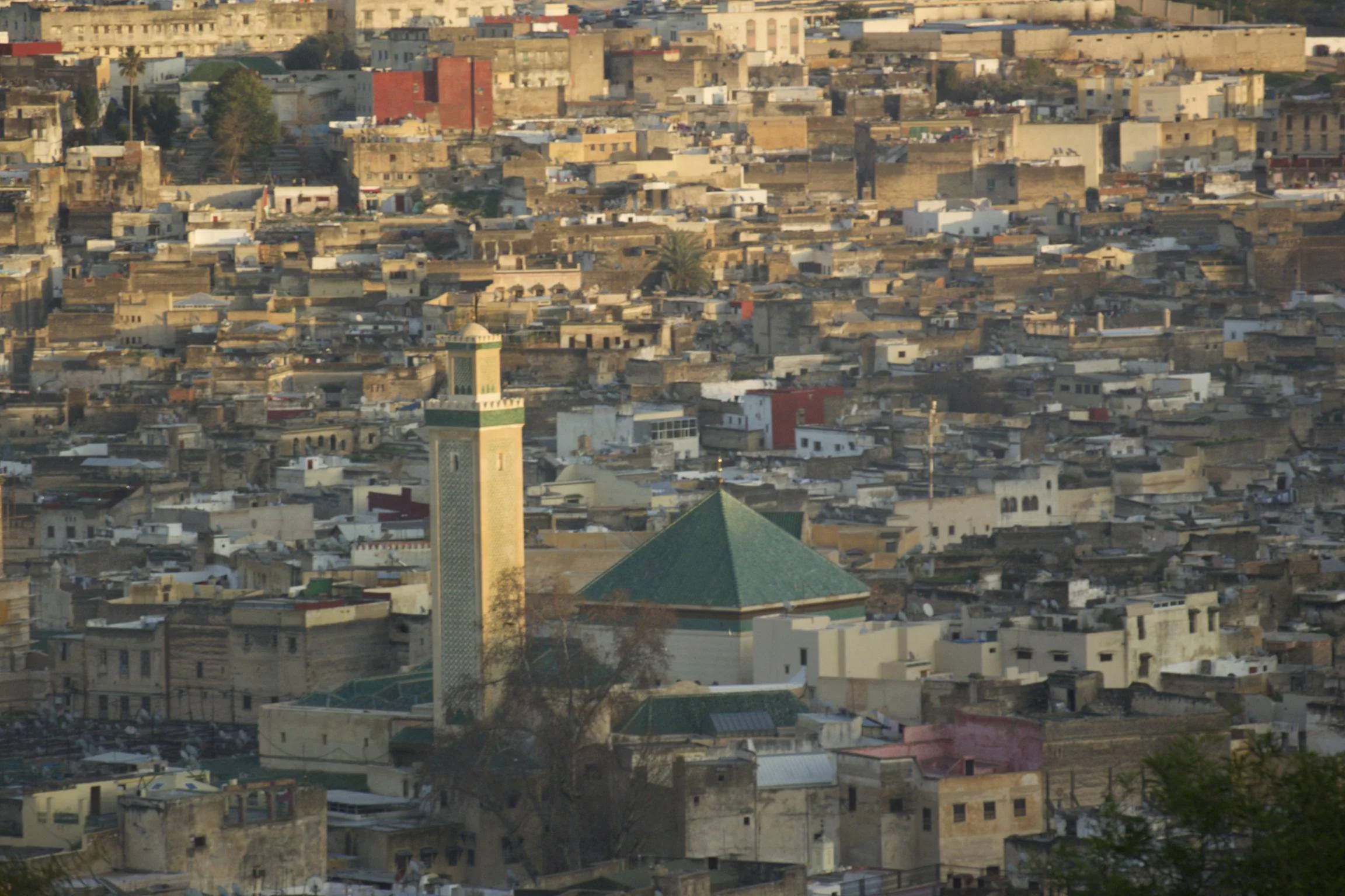 Fez medina from a nearby hill. University in the foreground with the green roof. 