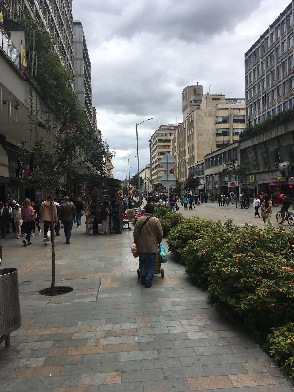 IMG_0676.jpeg