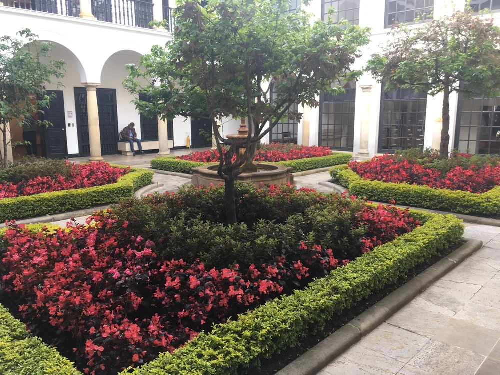 IMG_0706.jpeg