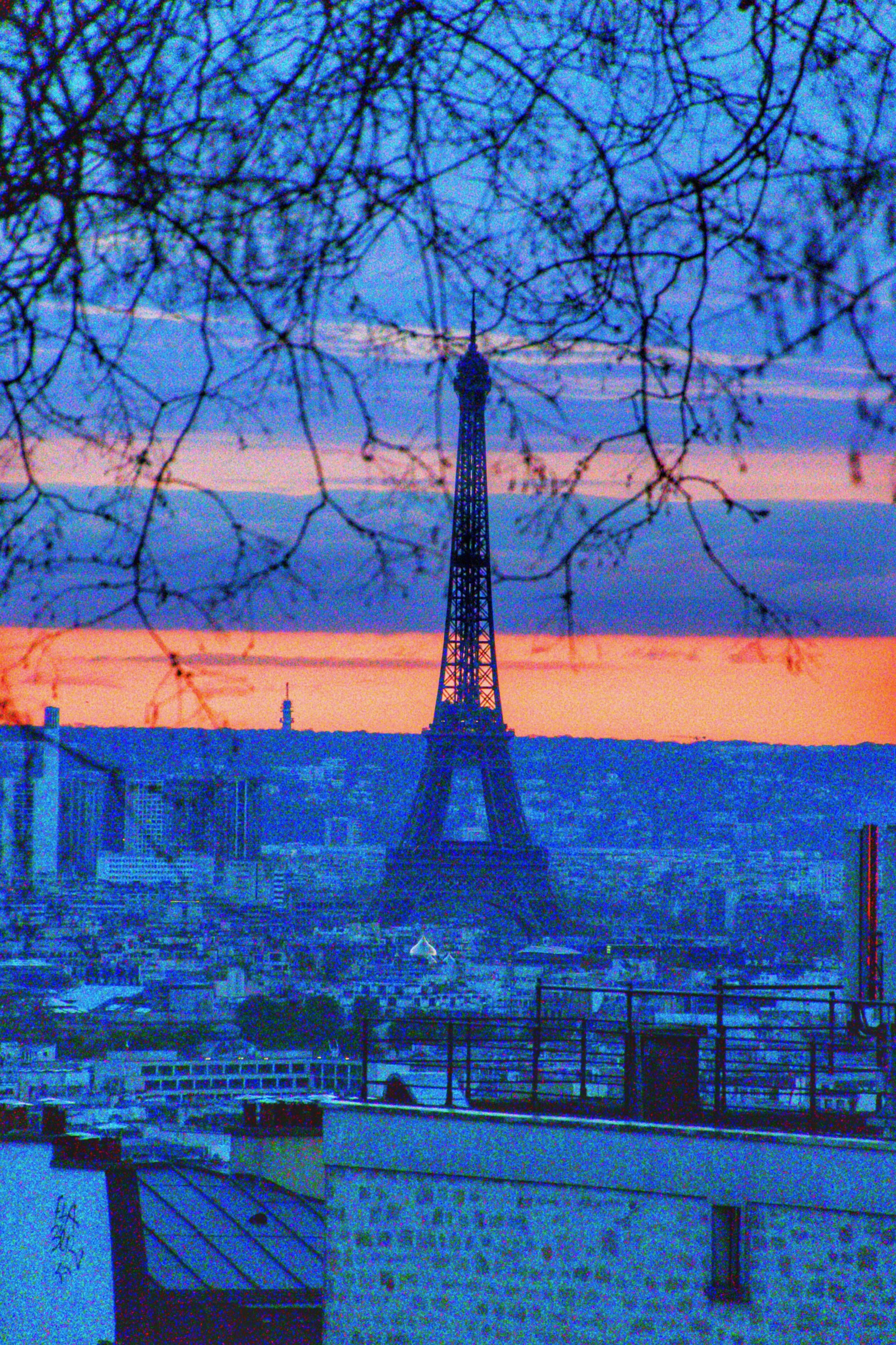 _DSC8245_Original.jpeg
