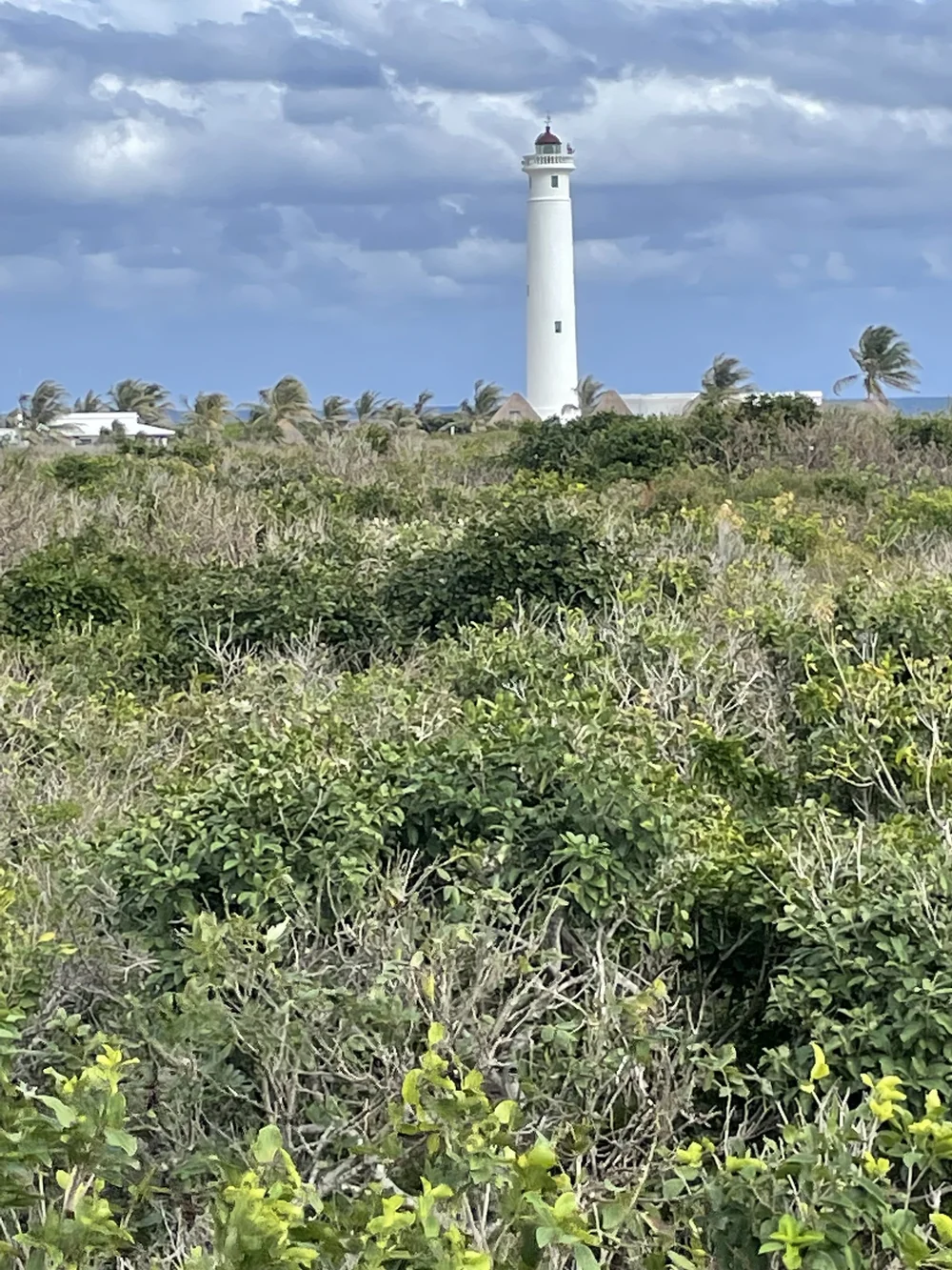 IMG_7589.jpeg