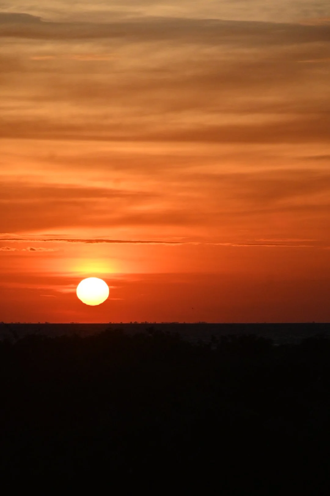 DSC_0196.JPG