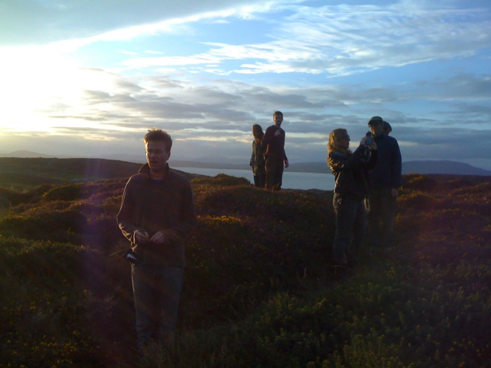 Hammergrin and Bluemouth.JPG