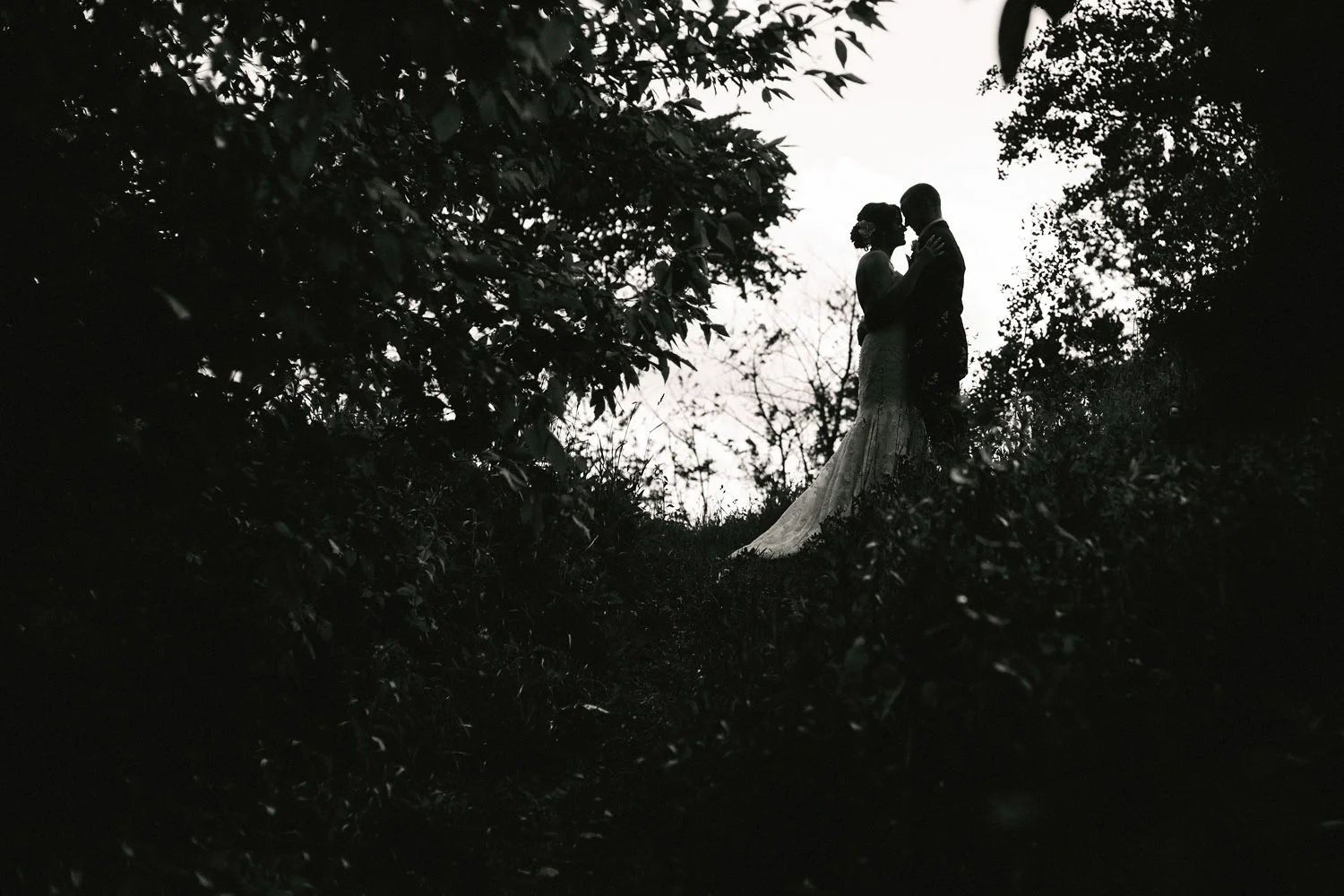 Bride and Groom silhouette on part of the Bruce Trail