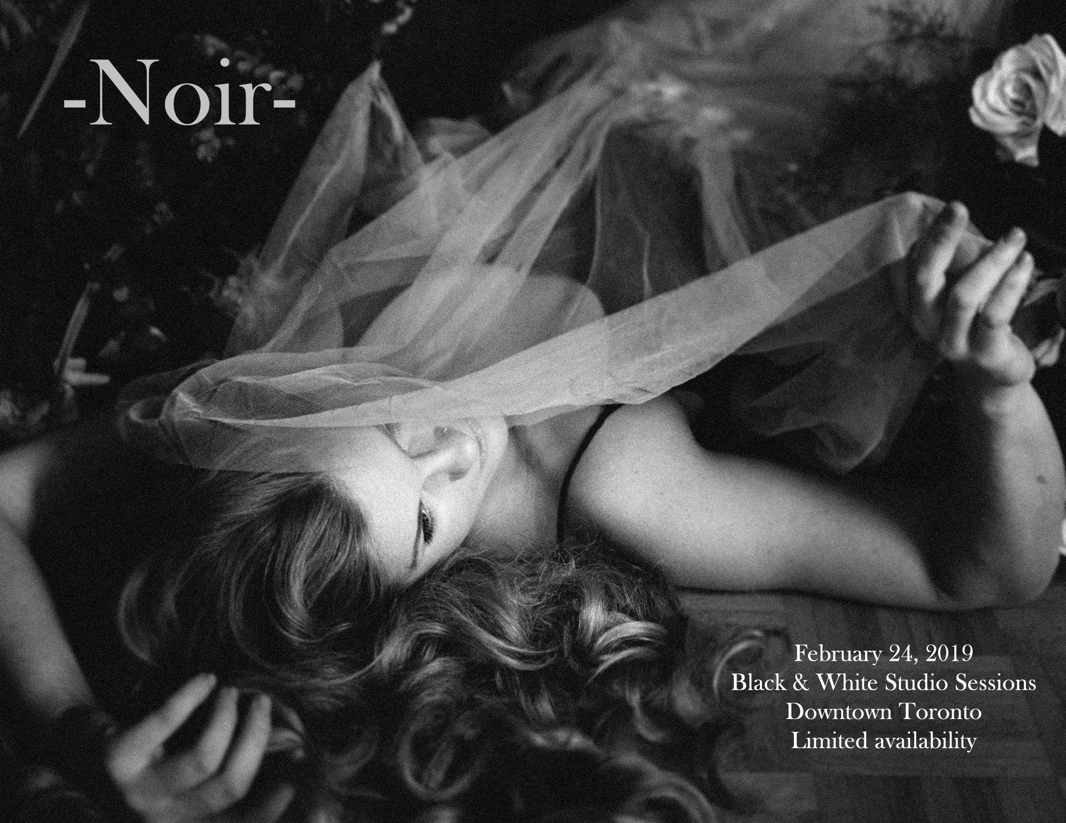 -NOIR-.jpg