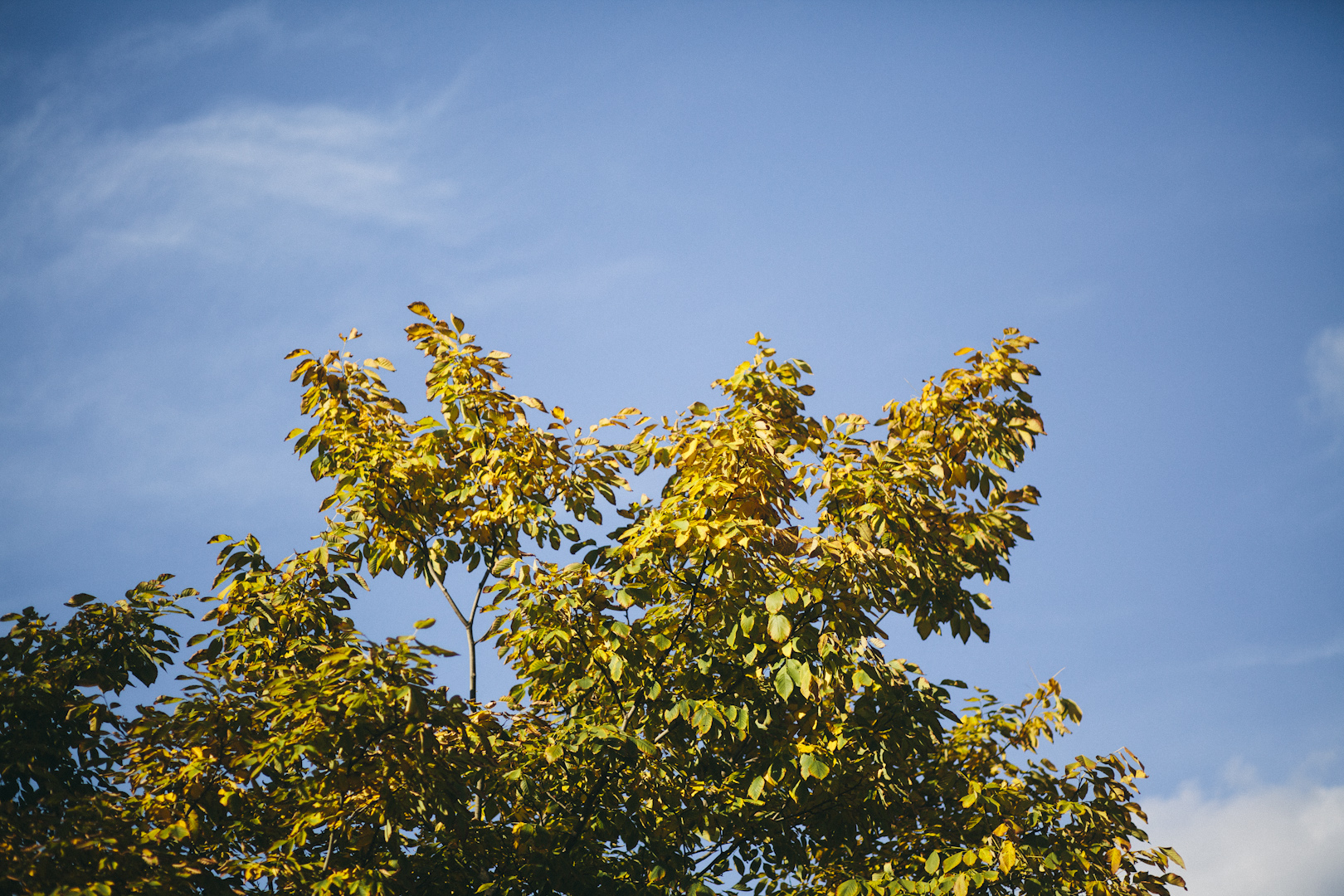 2012_10_06_blog-19.jpg