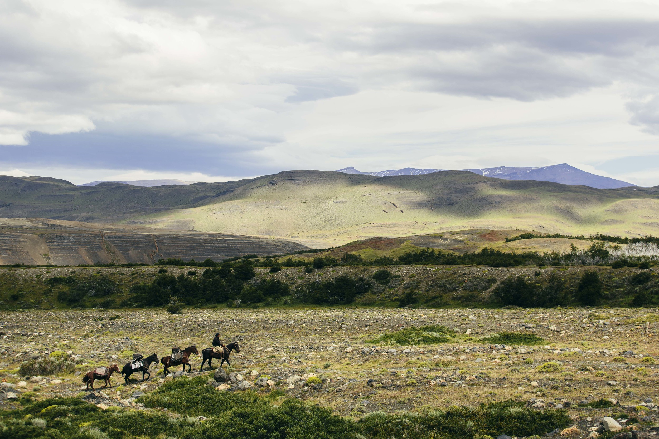 chile-20141A9C8851.jpg